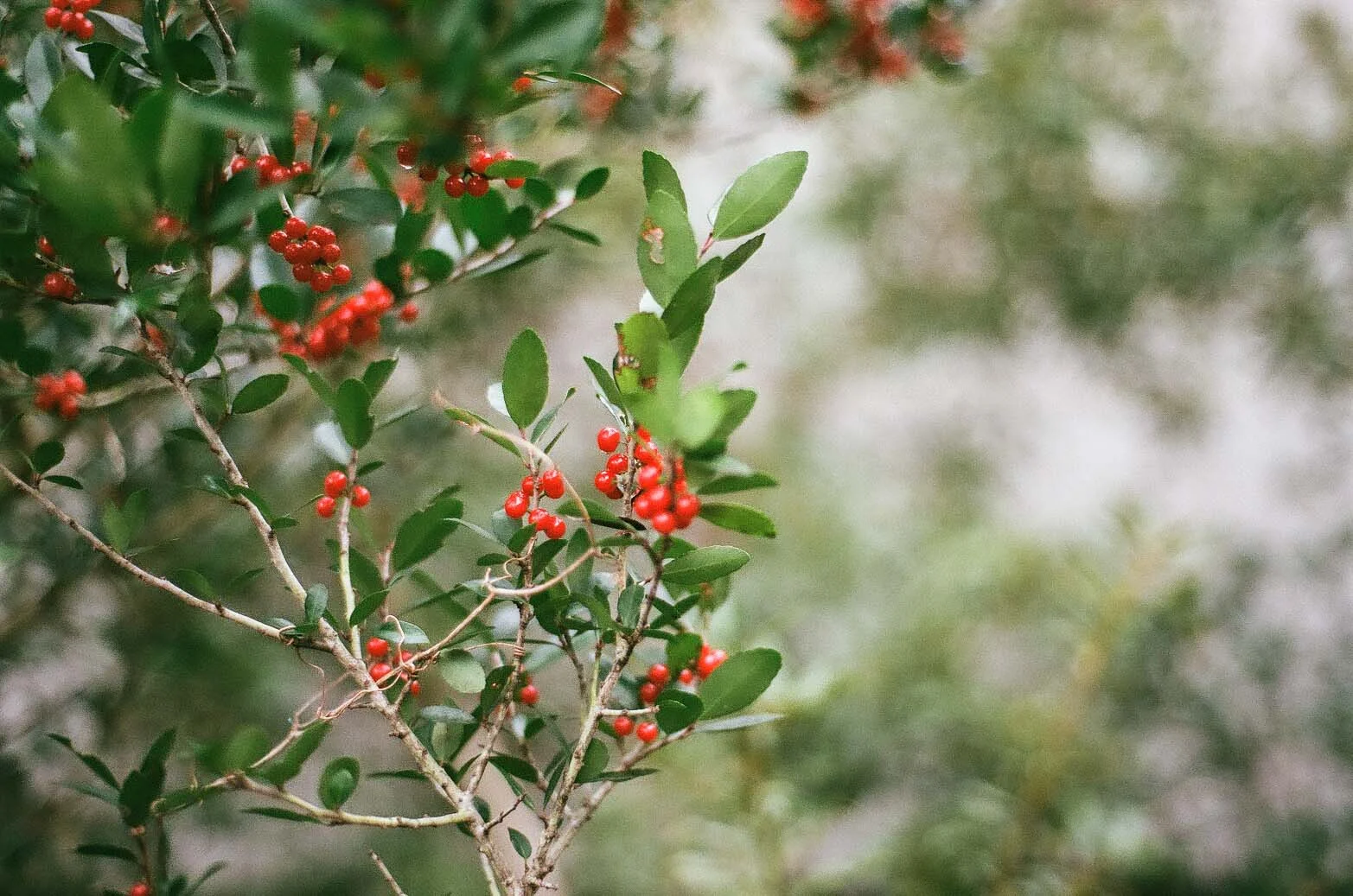 film 16_21.jpg