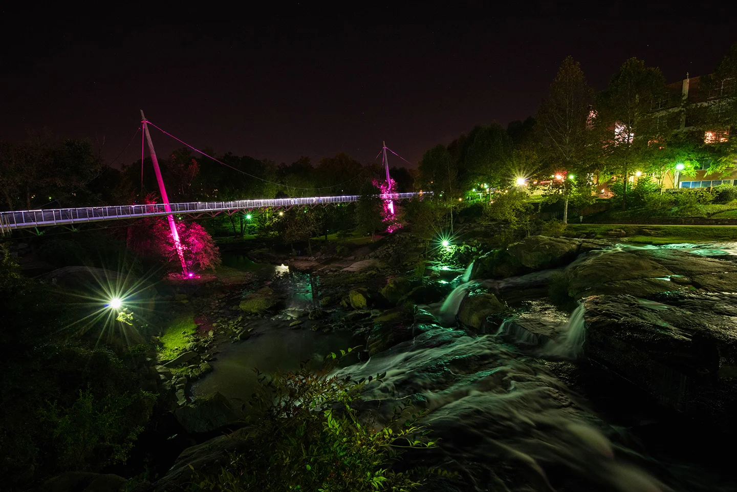 DSC_0040-3.jpg