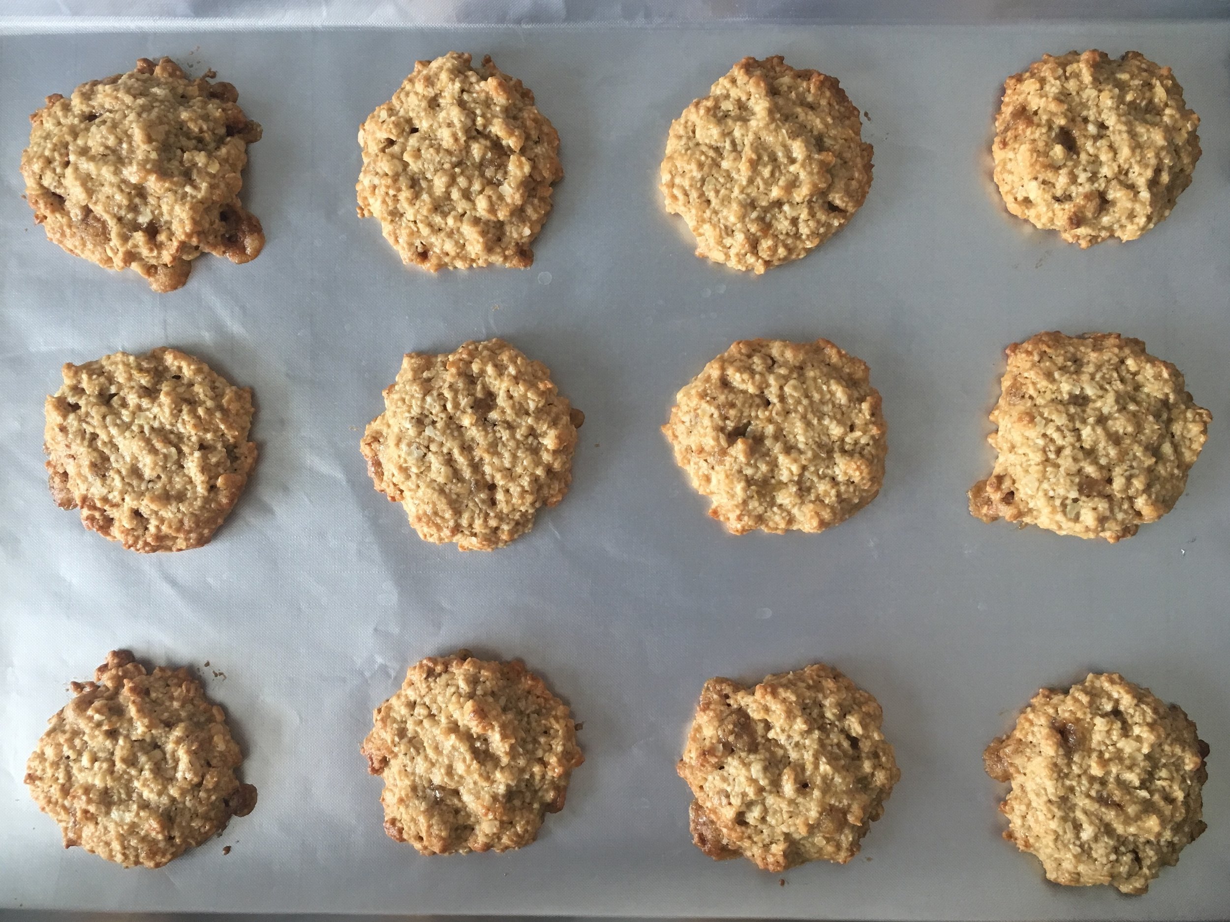 Oaty apple cookies