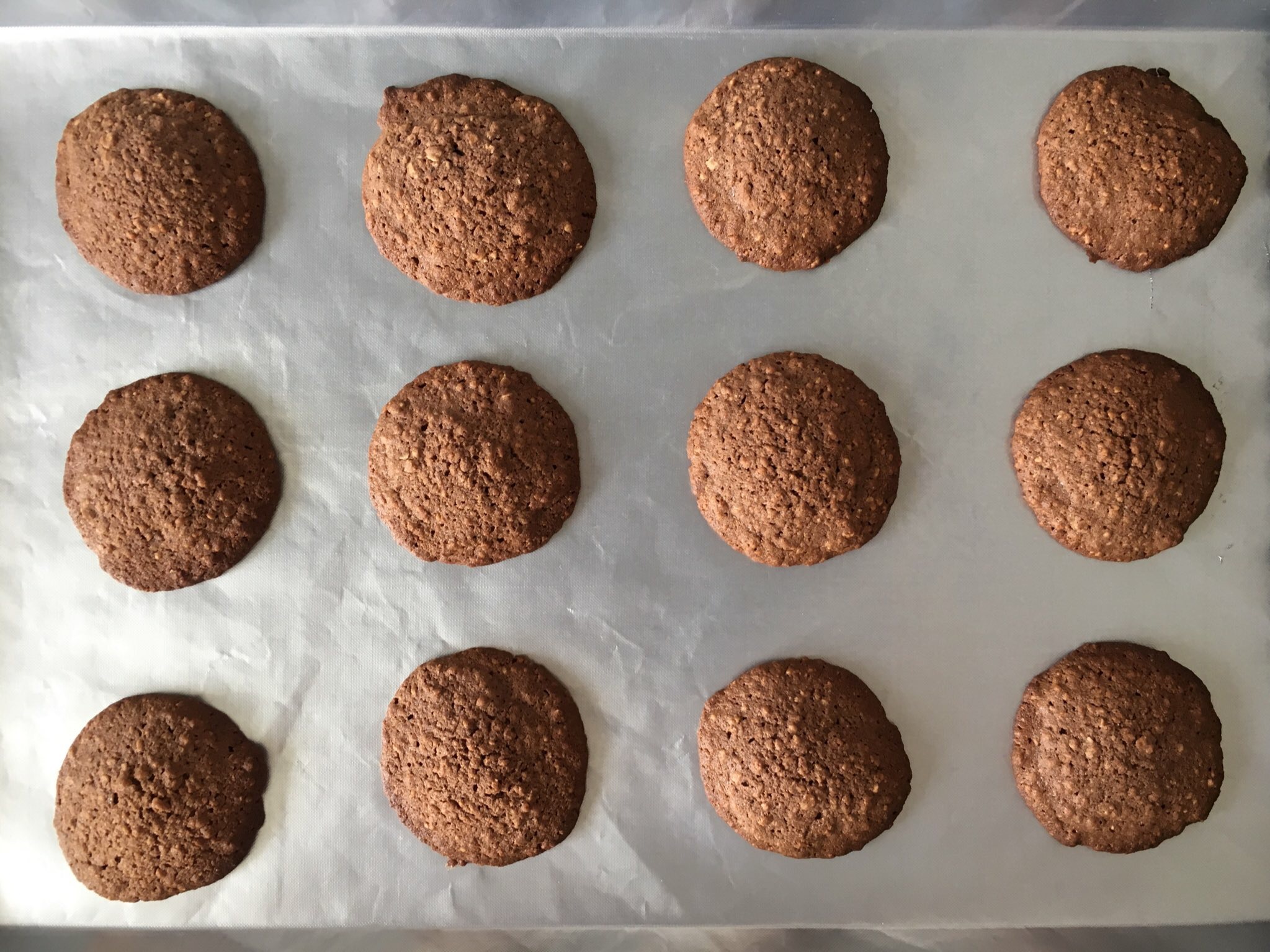 Chocolatey malty cookies