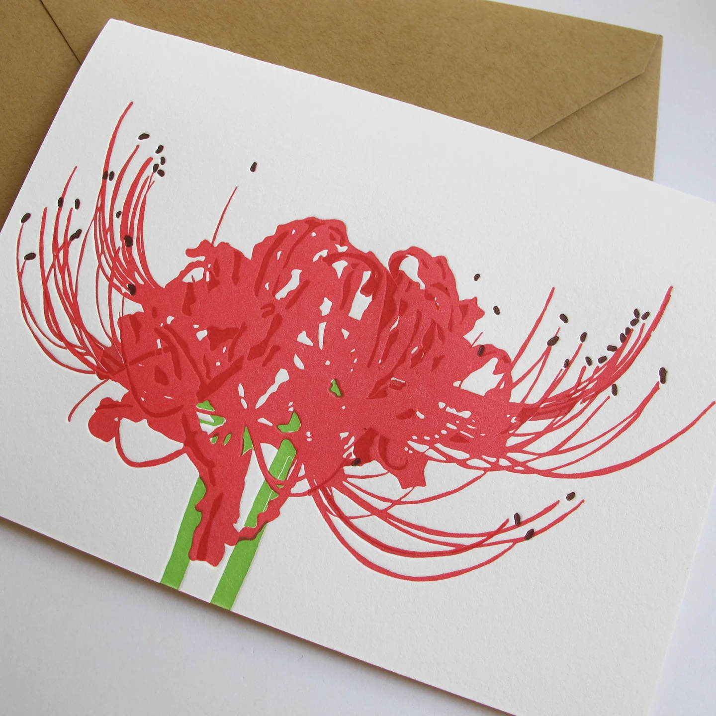 spiderlily4_ls.jpg