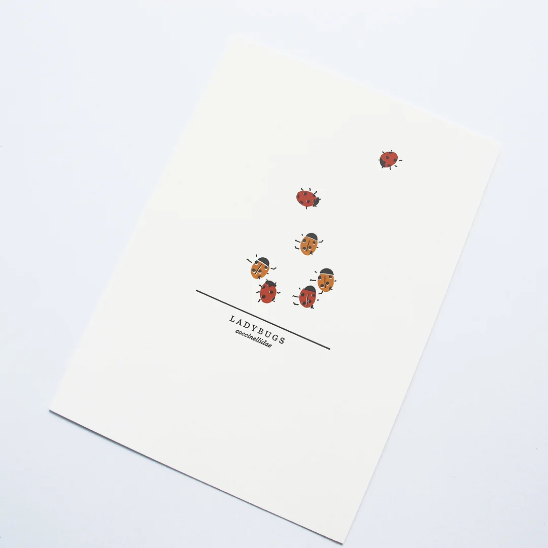 ladybug_detail.jpg