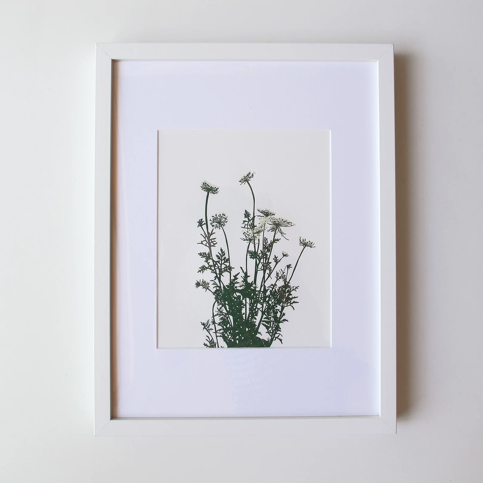 wildcarrots_smallframe1.jpg