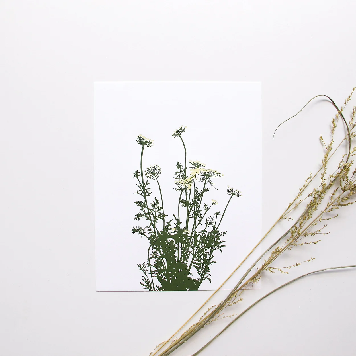 wildcarrot_smallstyled.jpg