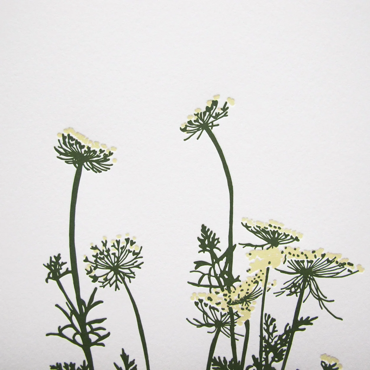 wildcarrot_detailsmall.jpg