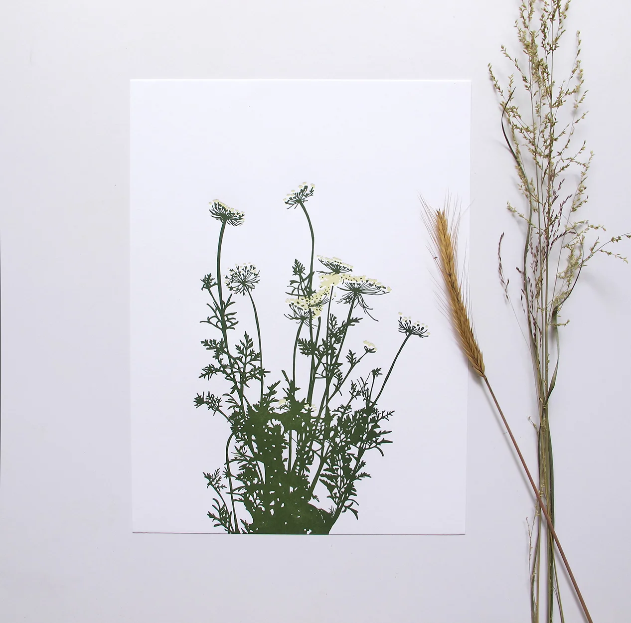 wildcarrot_styledlarge1.jpg
