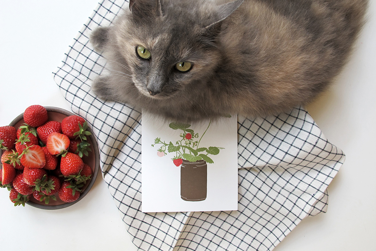 catcalendar_smaller.jpg