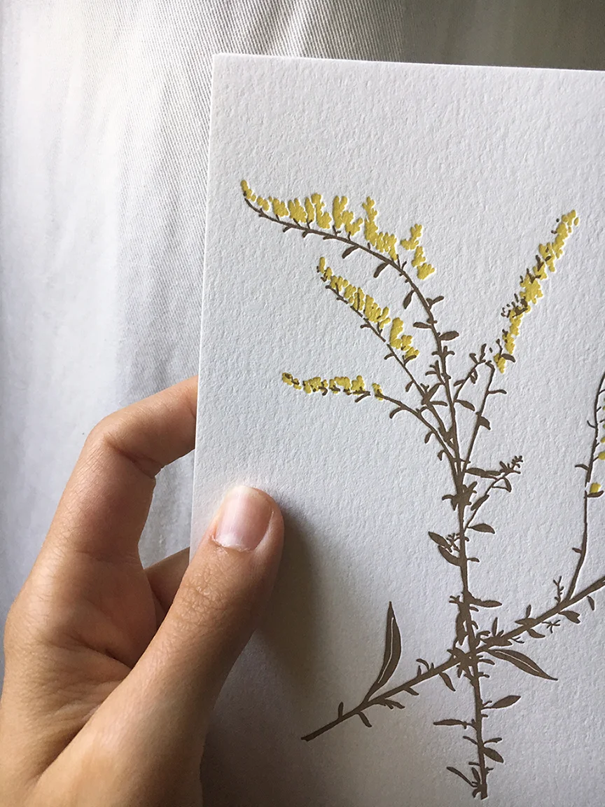 sunnyside_goldenroddetail.jpg