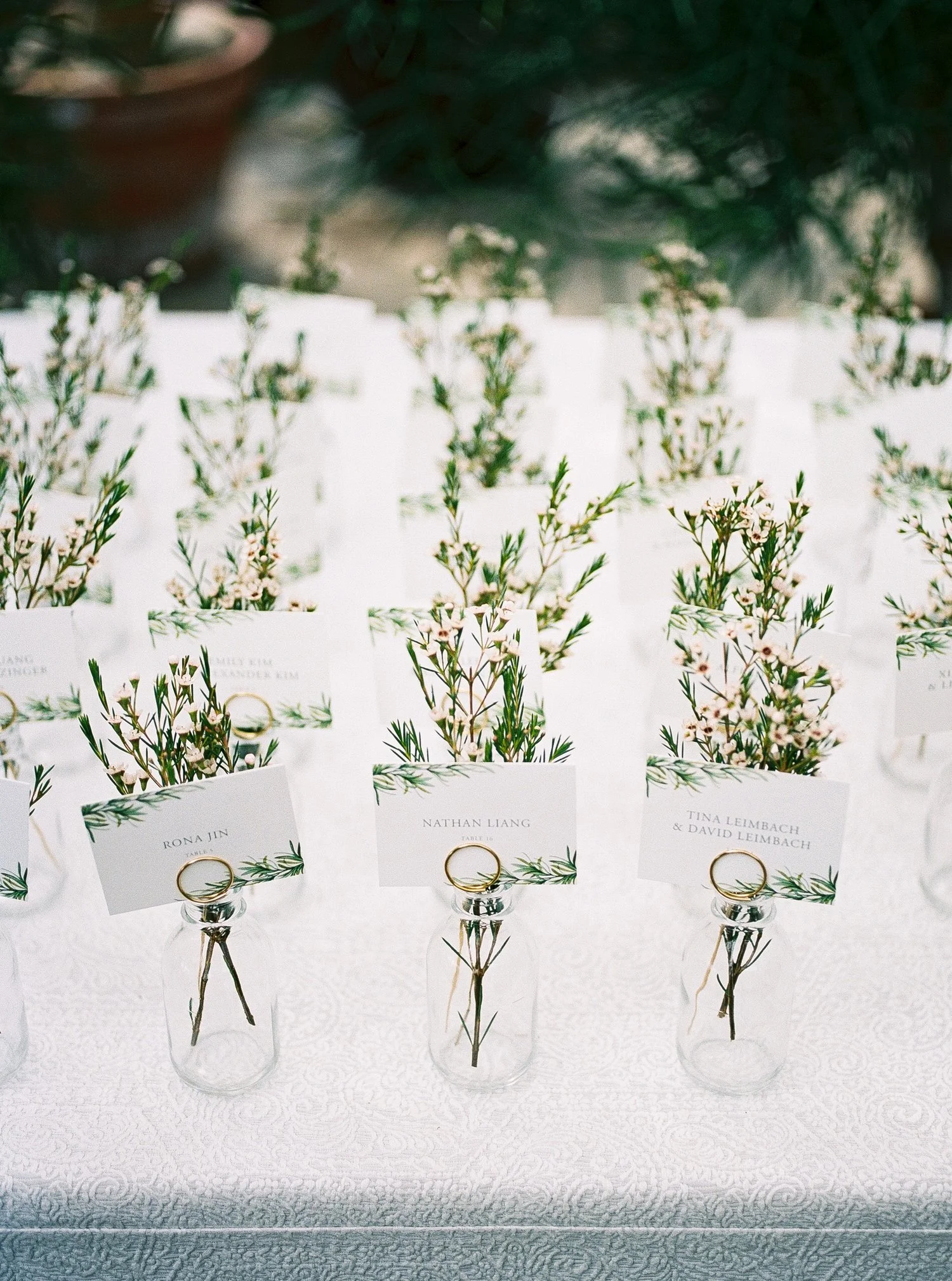 helen planterra wedding 7