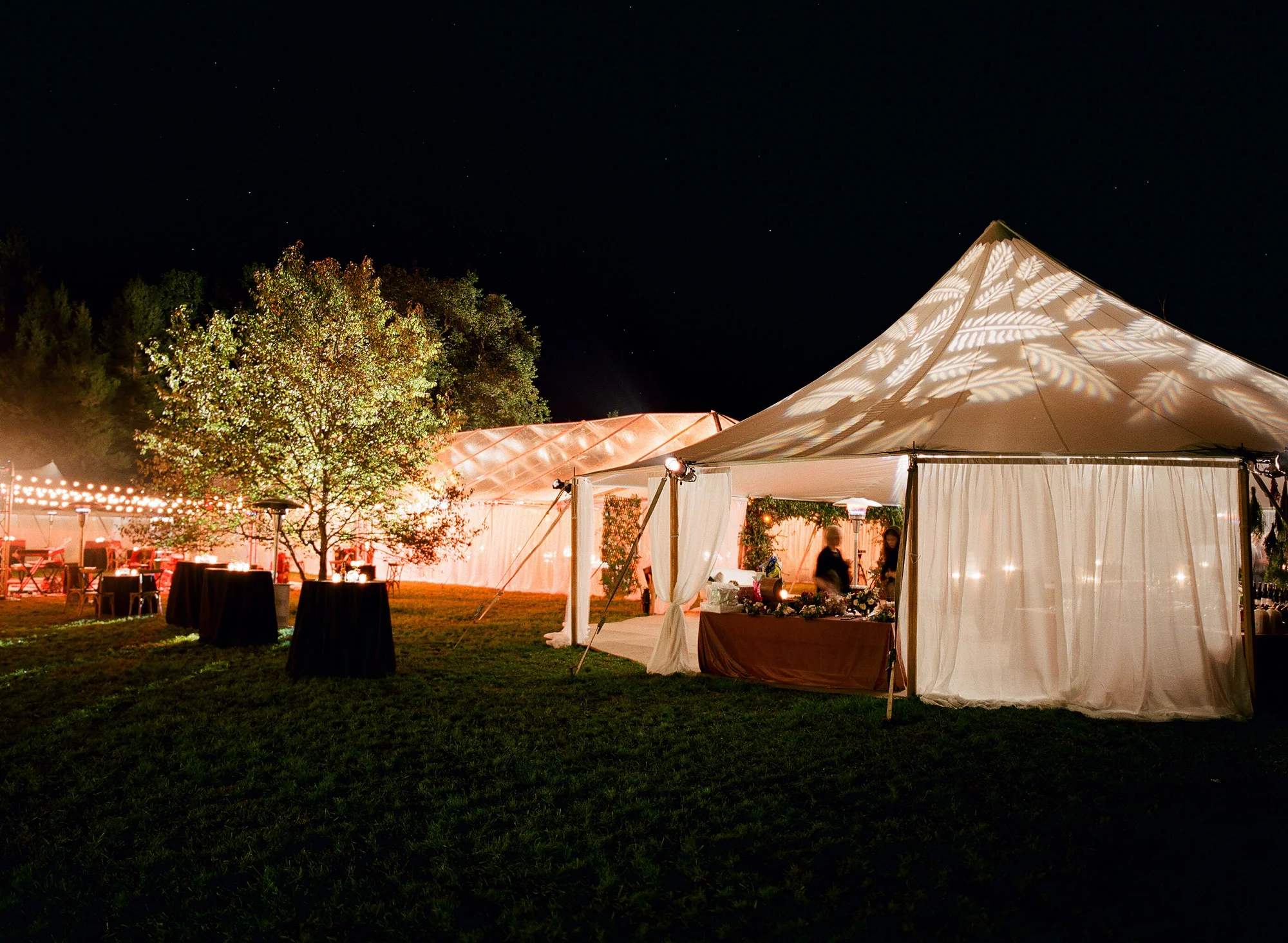 alison_bryan_festival_in_the_forest_michigan.04.jpg