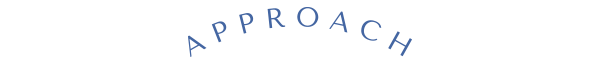 intro_approach.png