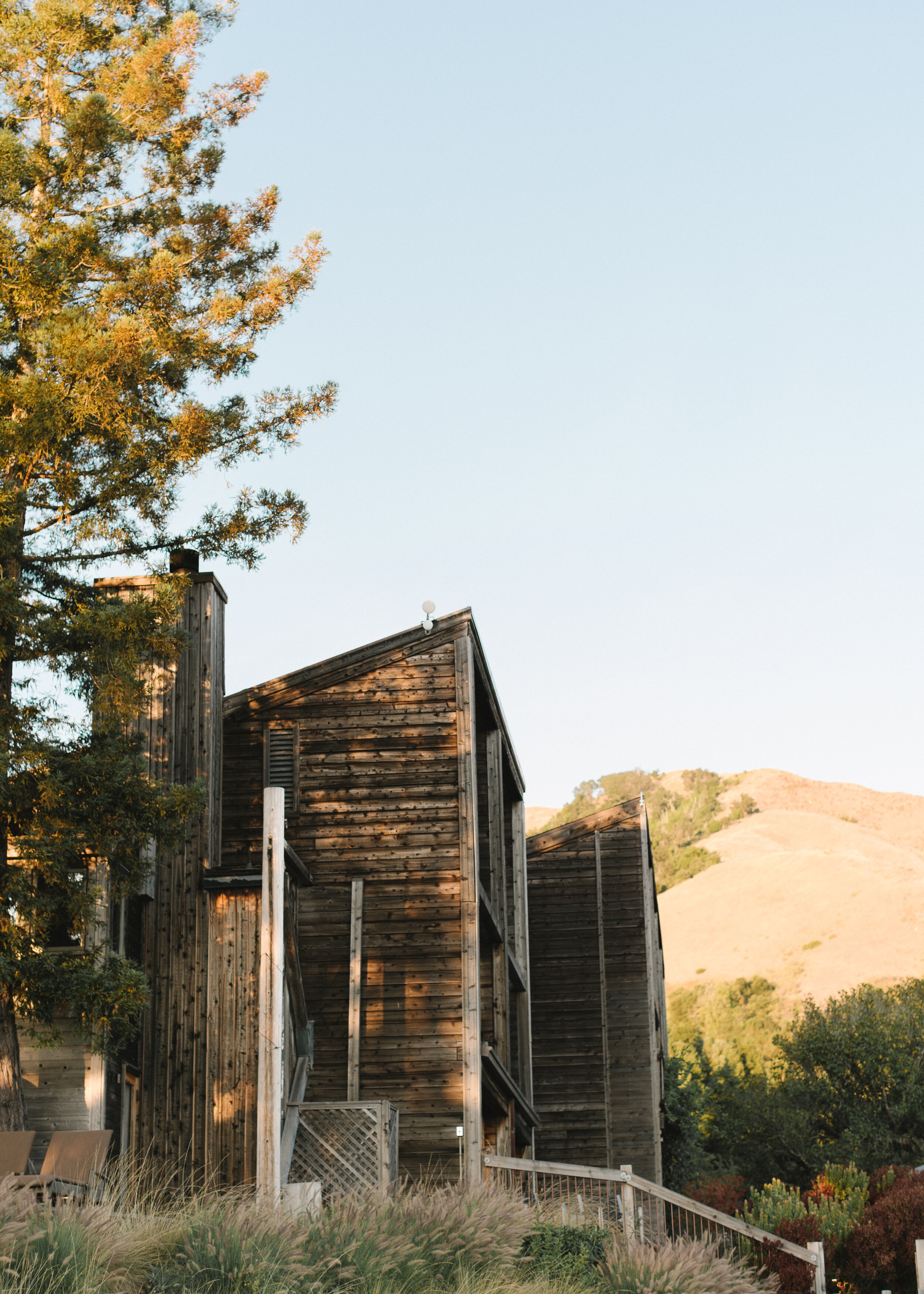 Ventana-Wedding-Big-Sur_797.JPG