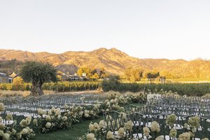 Alison Bryan Four Seasons Napa