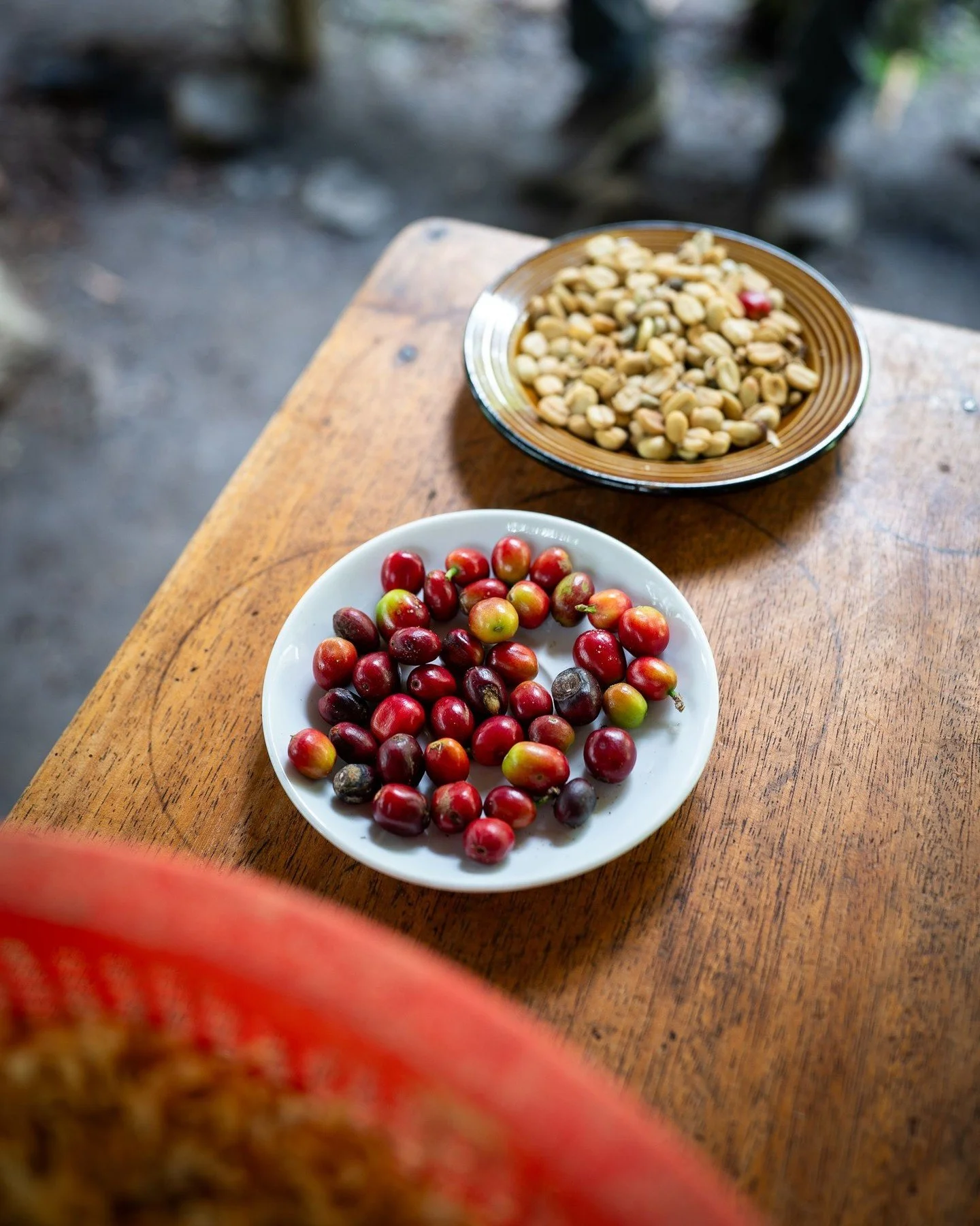 The coffee roasting process at a plantation in the Amazon Cloud Forest #shelled #coffee #travelphotography #roasting #travel #travelphotography #peru #amazoncloudforest #amazonjungle @salkantaytrekking