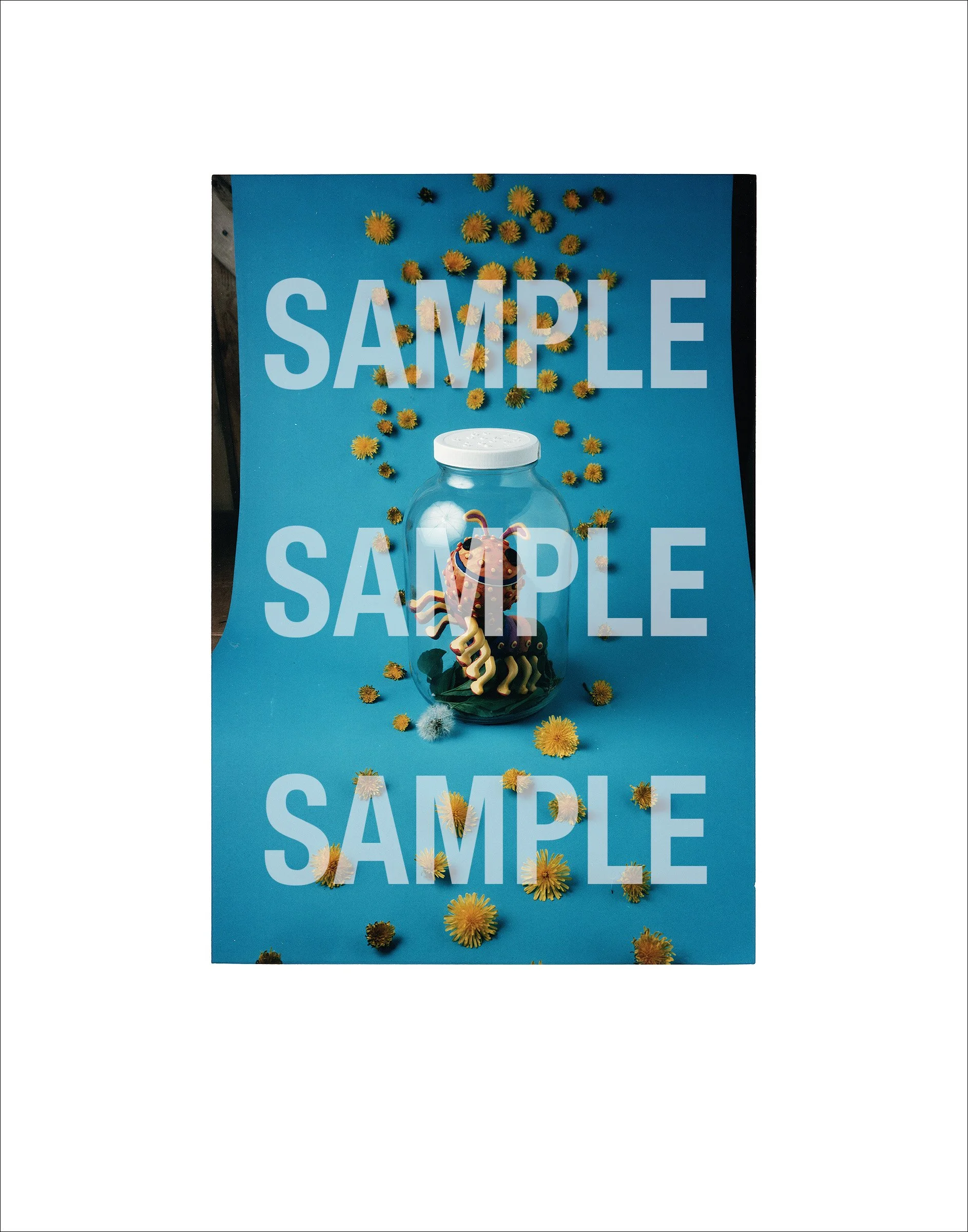 AWS Pitre Bug Jar limited edition print