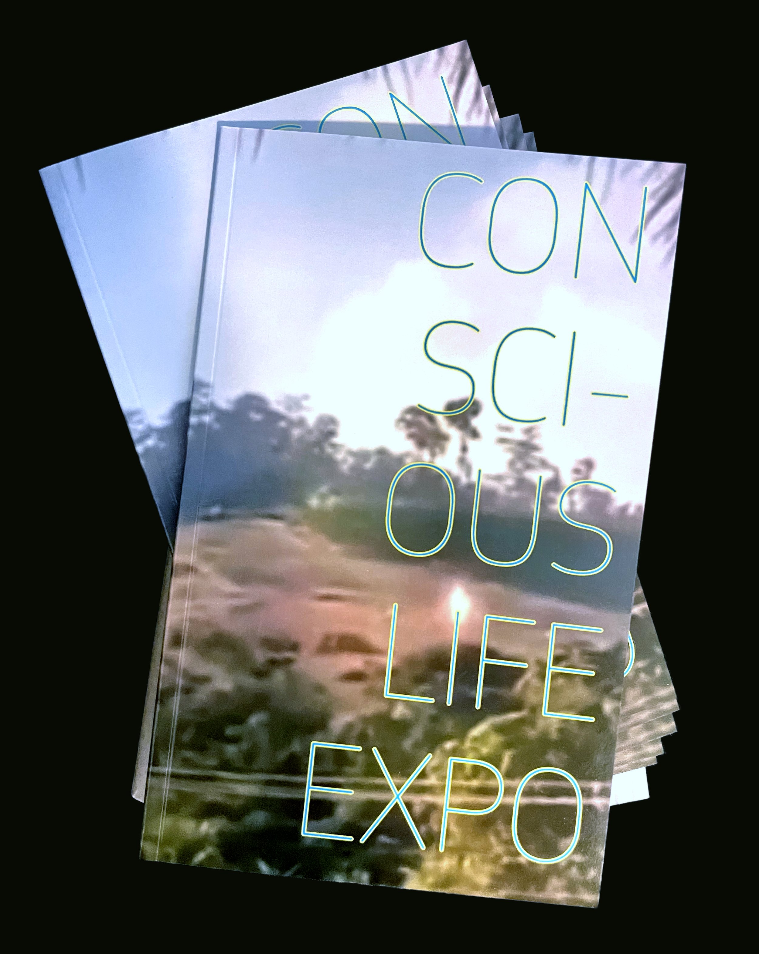  24-page artists’ books, edition of 20, for Conscious Life Expo, 2023, Flower Head (El Sereno, CA). 2023 