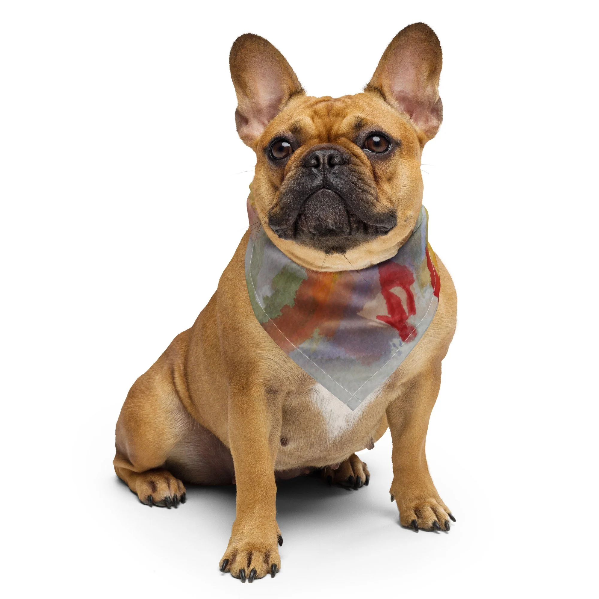 all-over-print-bandana-white-s-front-654516e29d6b4.jpg