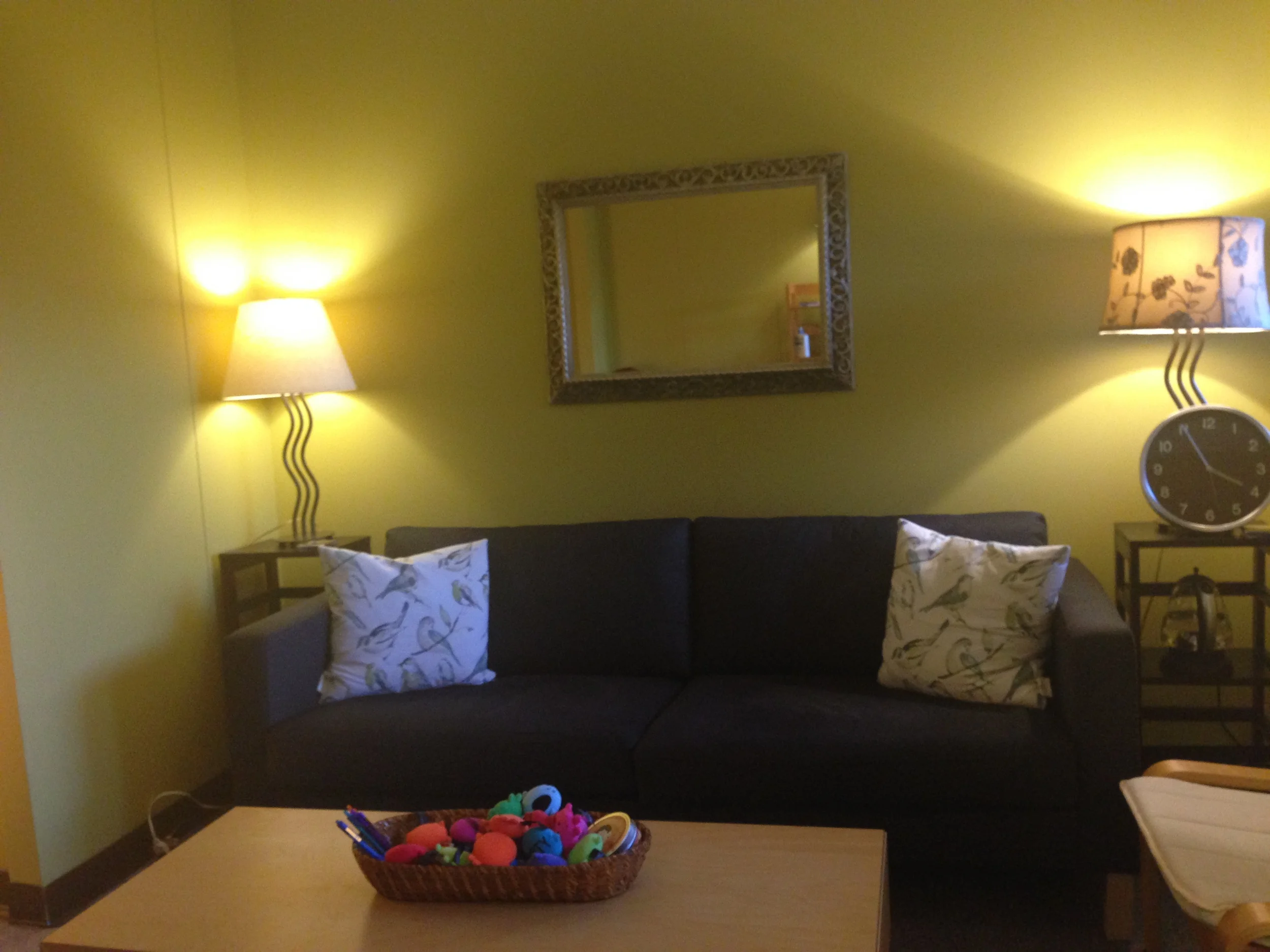 Most clients choose to sit on the couch. This is the view I have during our meetings. 