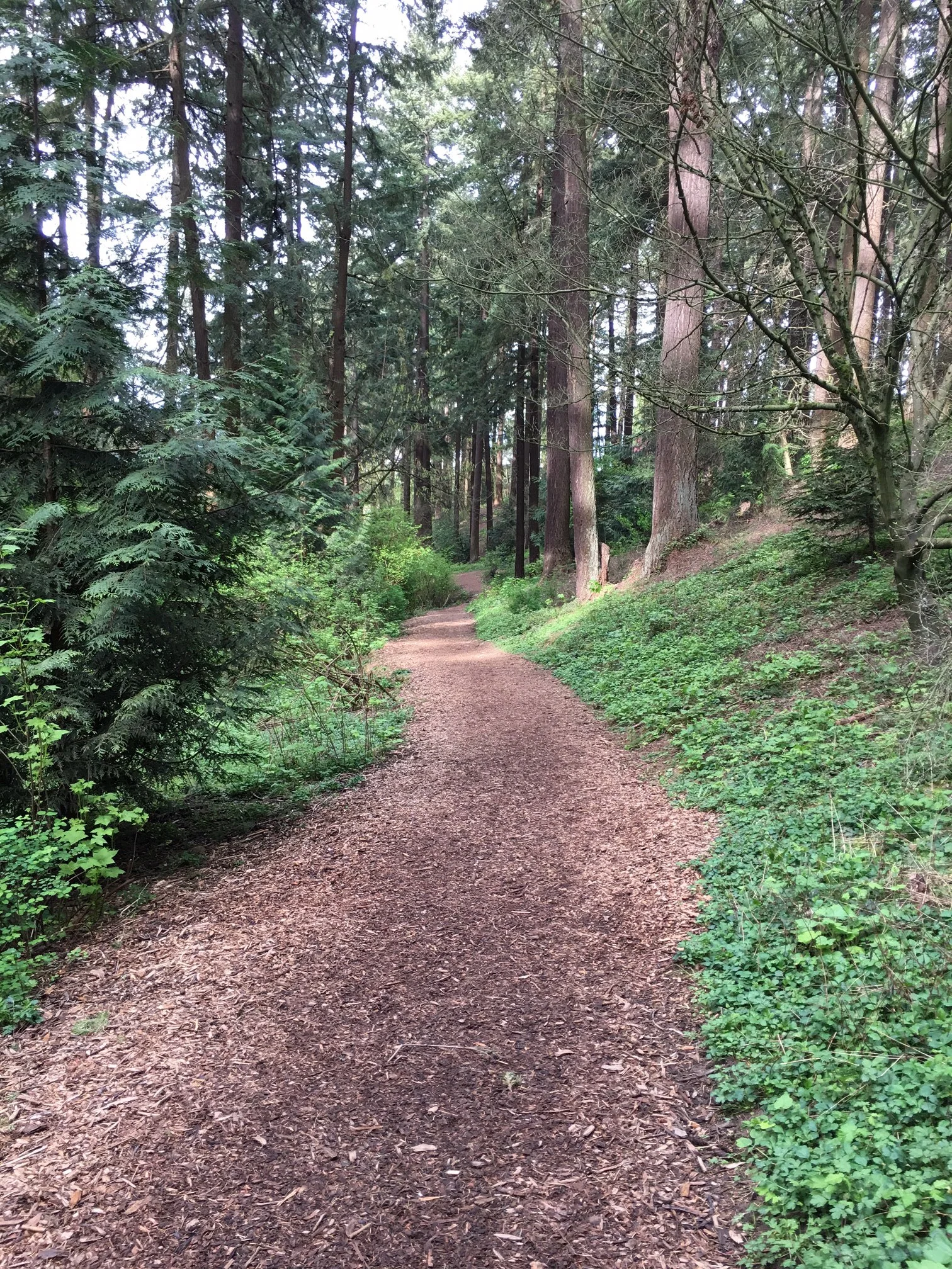 A moment on a recent walk where I found myself struggling with shame around how difficult the workout had been...