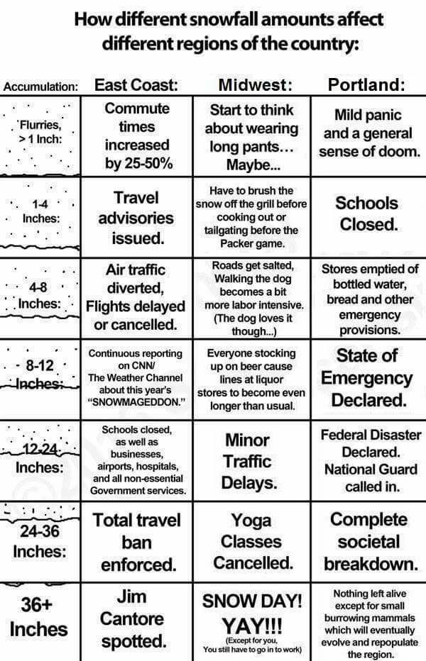 Someone posted this awesome infographic to my Facebook feed. It was created by someone named "Sarala" and if you know him/her, please have them email me so I can give credit for the humor and the truth. 