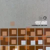Transient