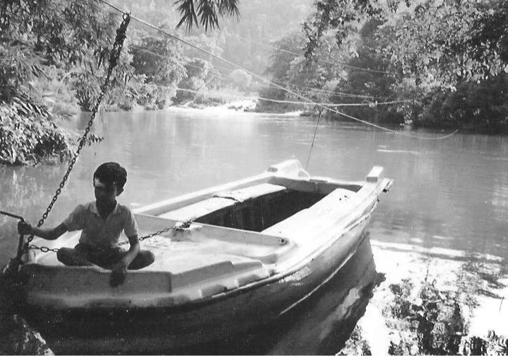 on MIGRATORY ART