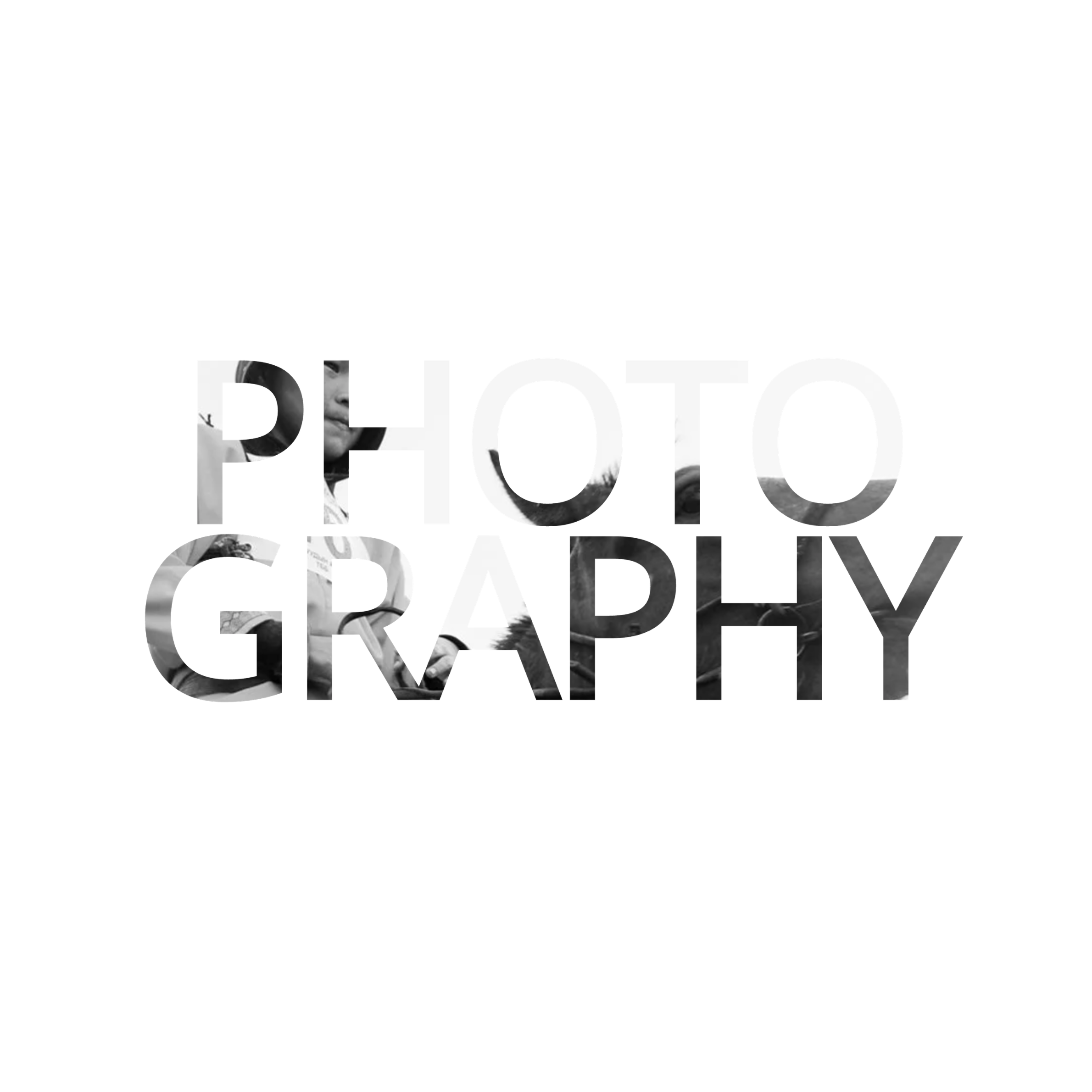 13.png