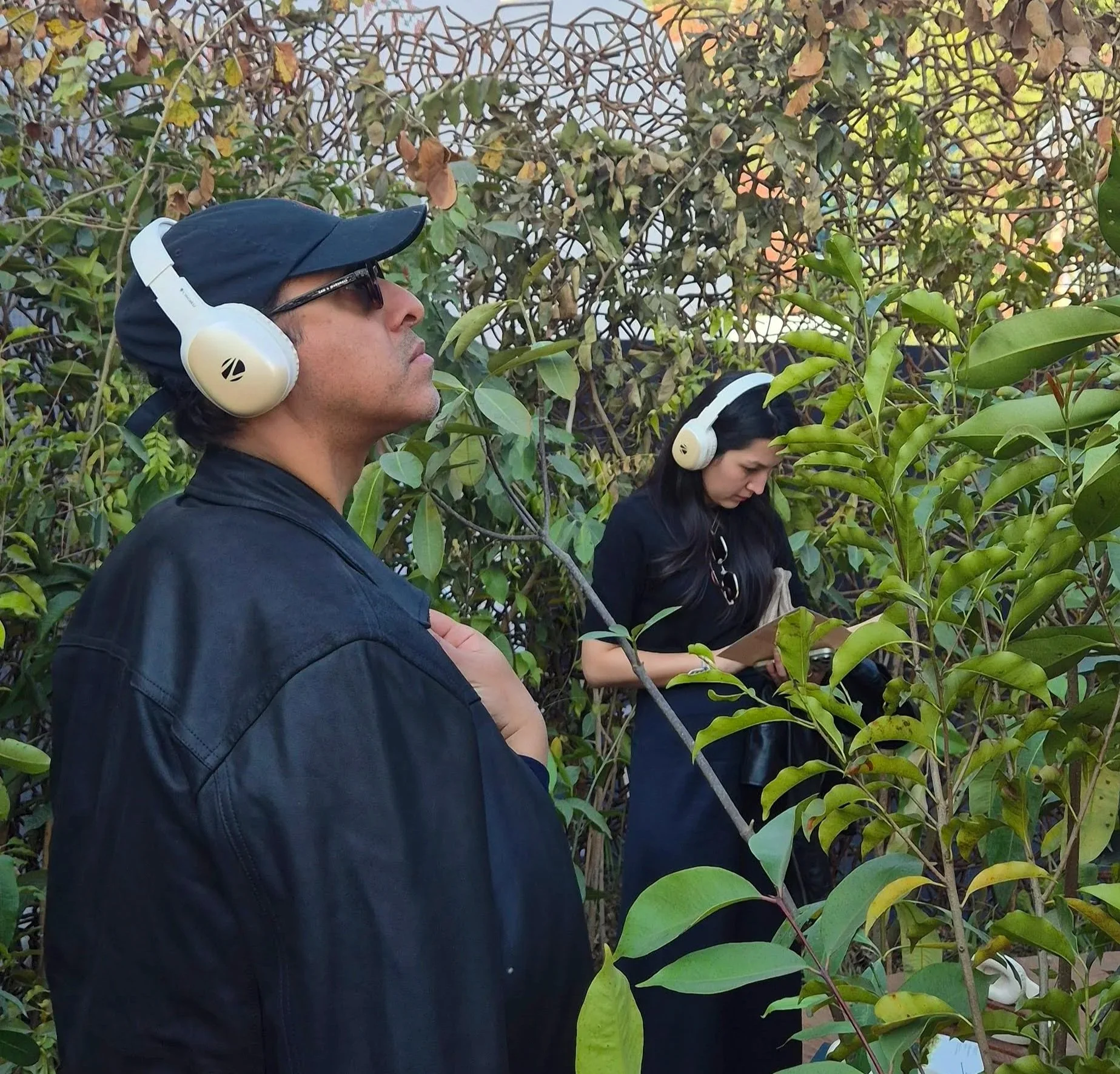   REGENERATION   Through dense Miyawaki planting,  FOREST II  grows rapidly - up to 1–1.5 m per year - forming an early canopy that cools its surroundings by 2–3 °C. A forest this size can sequester approximately 75 kg of CO₂ annually while layered v