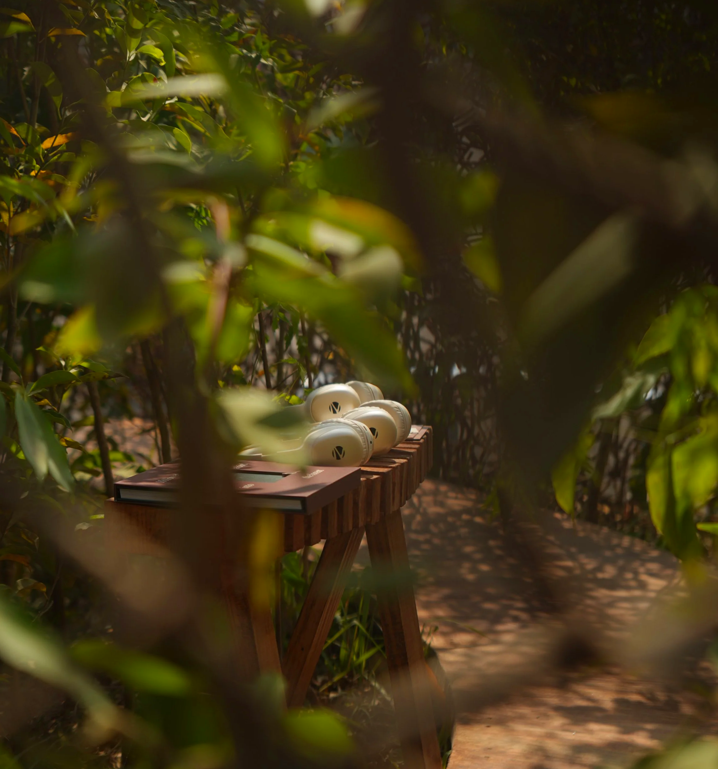   FLORA   Vegetation is organised into layered strata of canopy, understory, and groundcover, forming the basis of a self-supporting forest system. Species include Amaltas ( Cassia fistula ), Arjun ( Terminalia arjuna ), Jamun ( Syzygium cumini ), Ne
