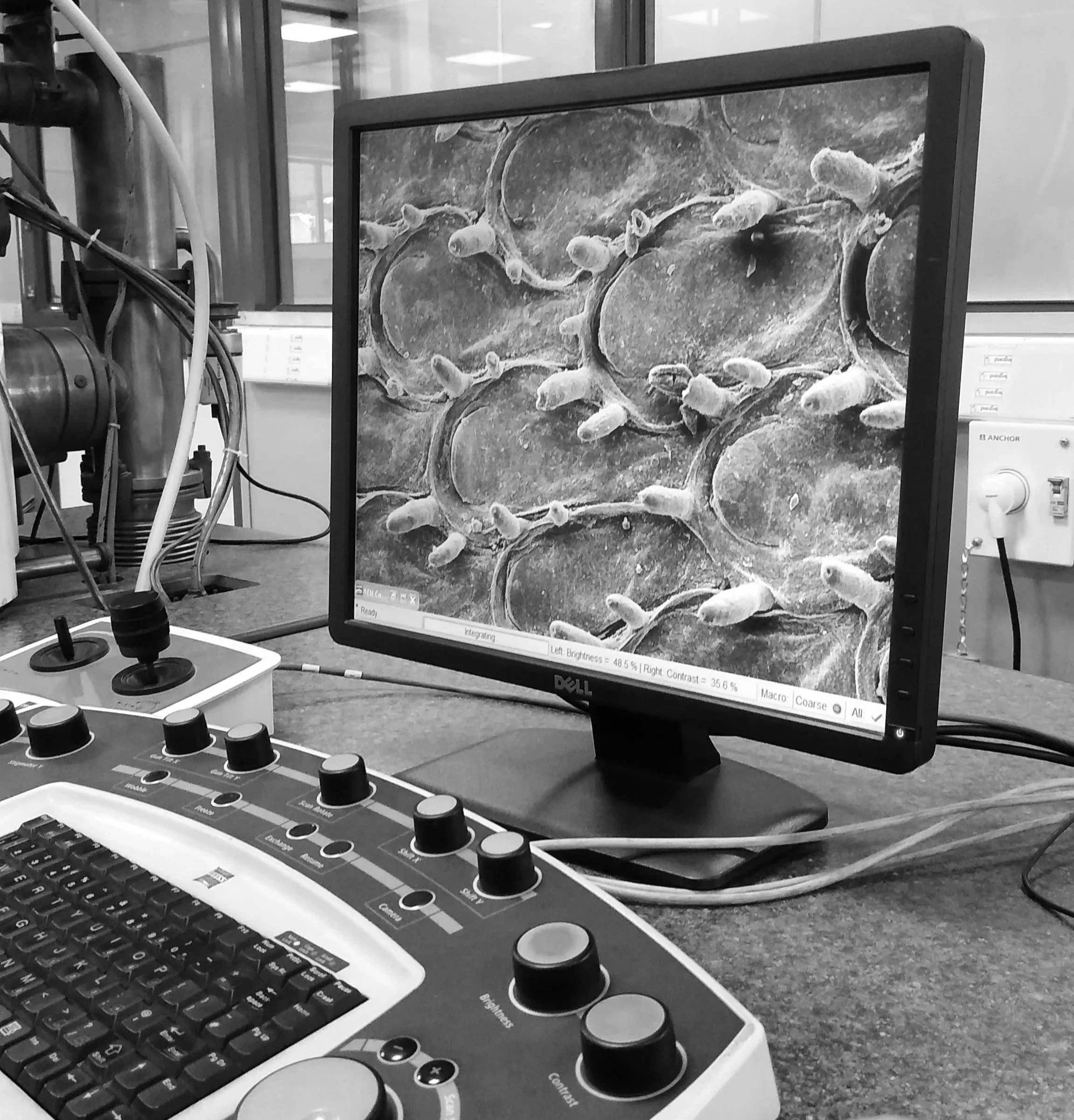 on INTERDISCIPLINARY PHOTOGRAPHY