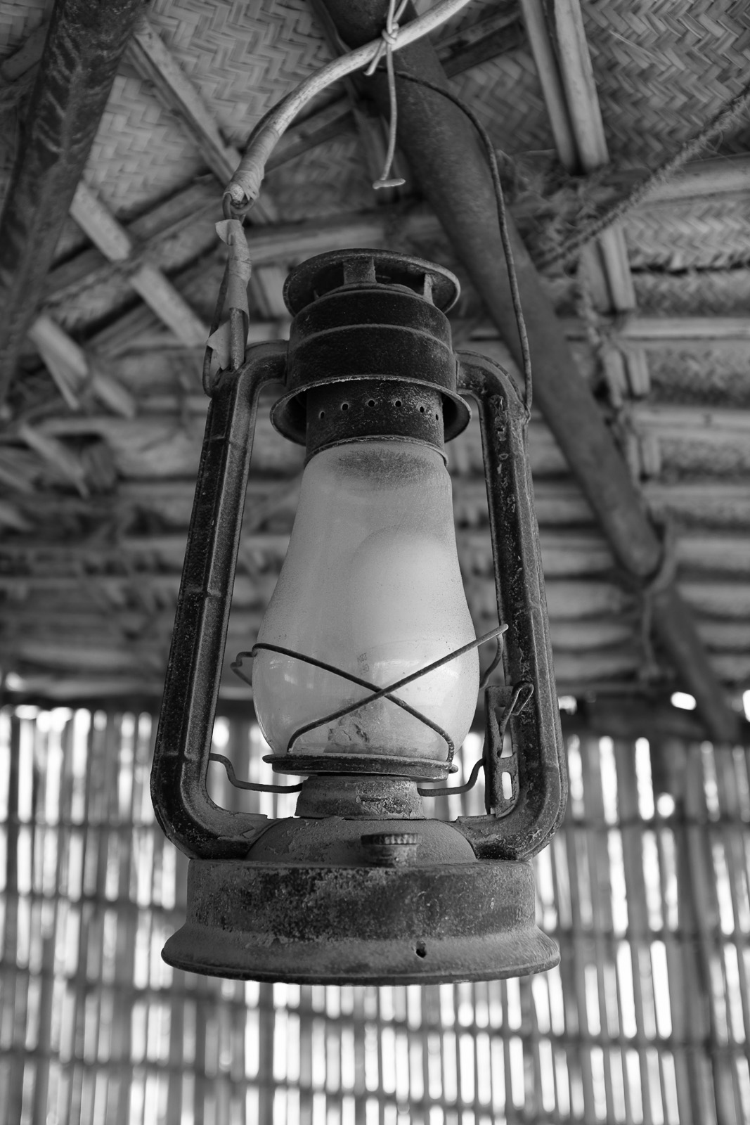 DSCF1253.jpg