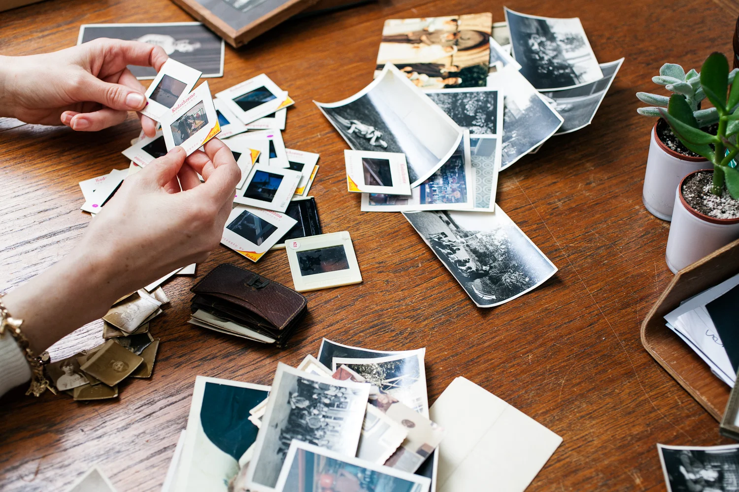 Sonja Campbell, photo collector
