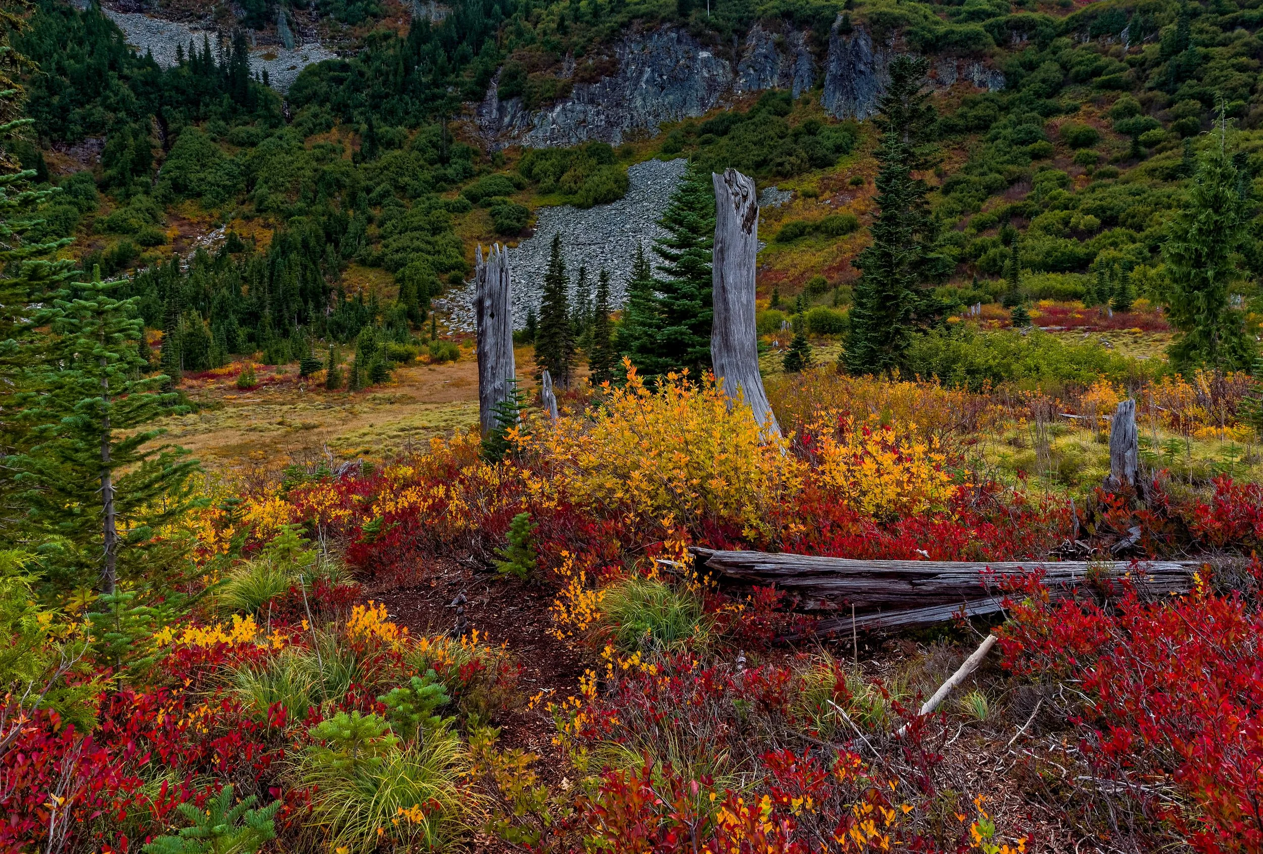 2015 09 18 Mt Rainer NP P9180931_DxO.jpg