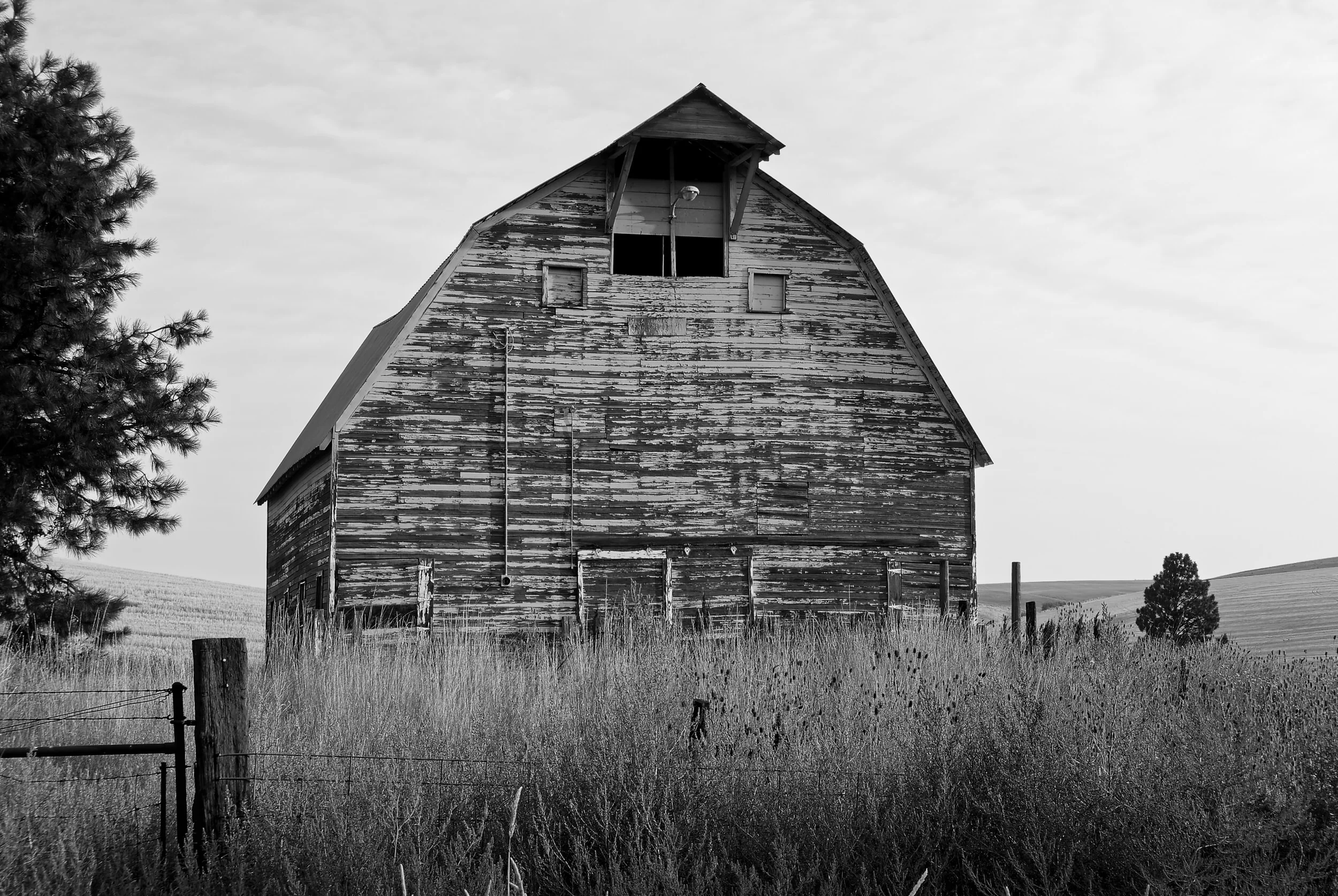 2015 08 12 Palouse WA DSC_6656_DxO.jpg