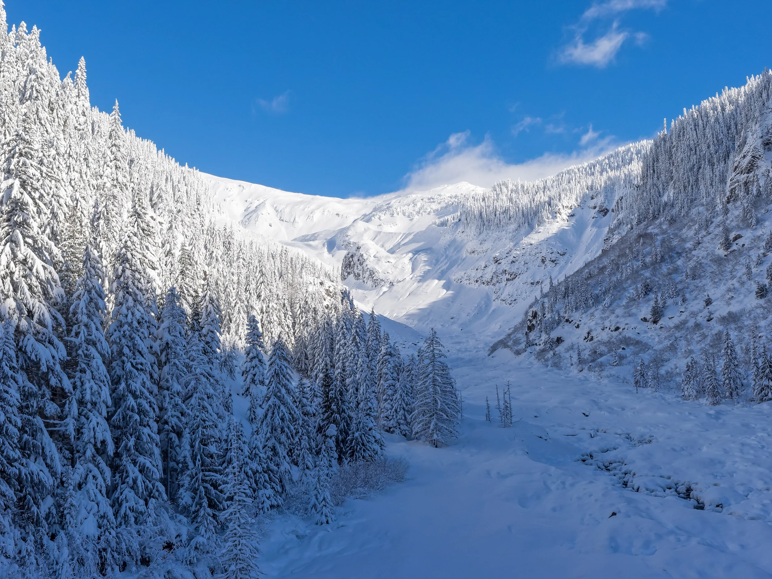 2016 12 06 Narada Falls Trail Mt Rainier_C060657_DxO.jpg