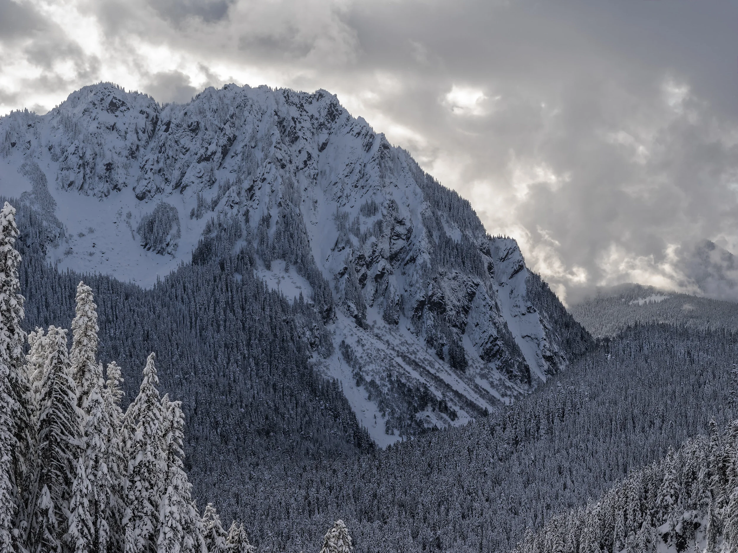 2016 12 06 Narada Falls Trail Mt Rainier_C060796_DxO-Edit.jpg