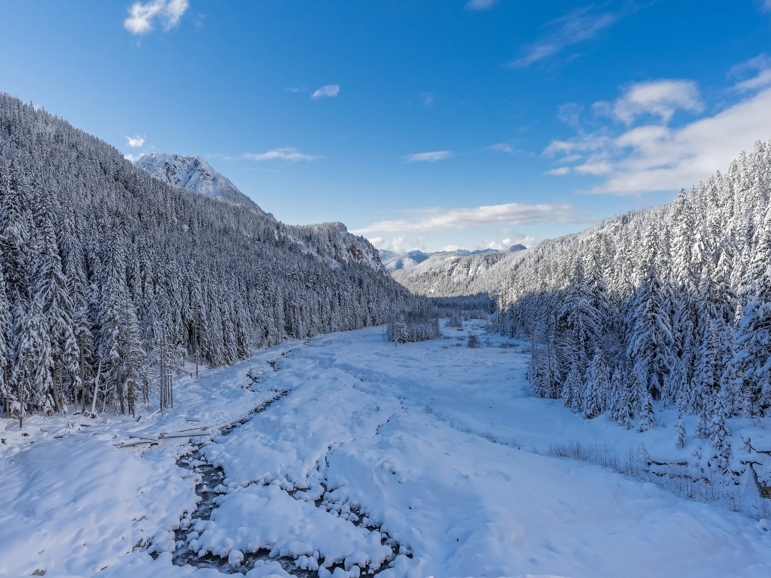 2016 12 06 Narada Falls Trail Mt Rainier_C060660_DxO.jpg