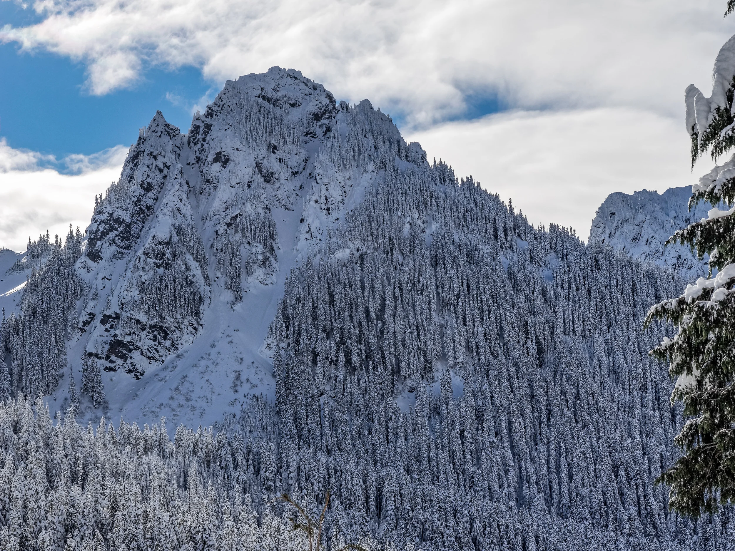 2016 12 06 Narada Falls Trail Mt Rainier_C060687_DxO.jpg