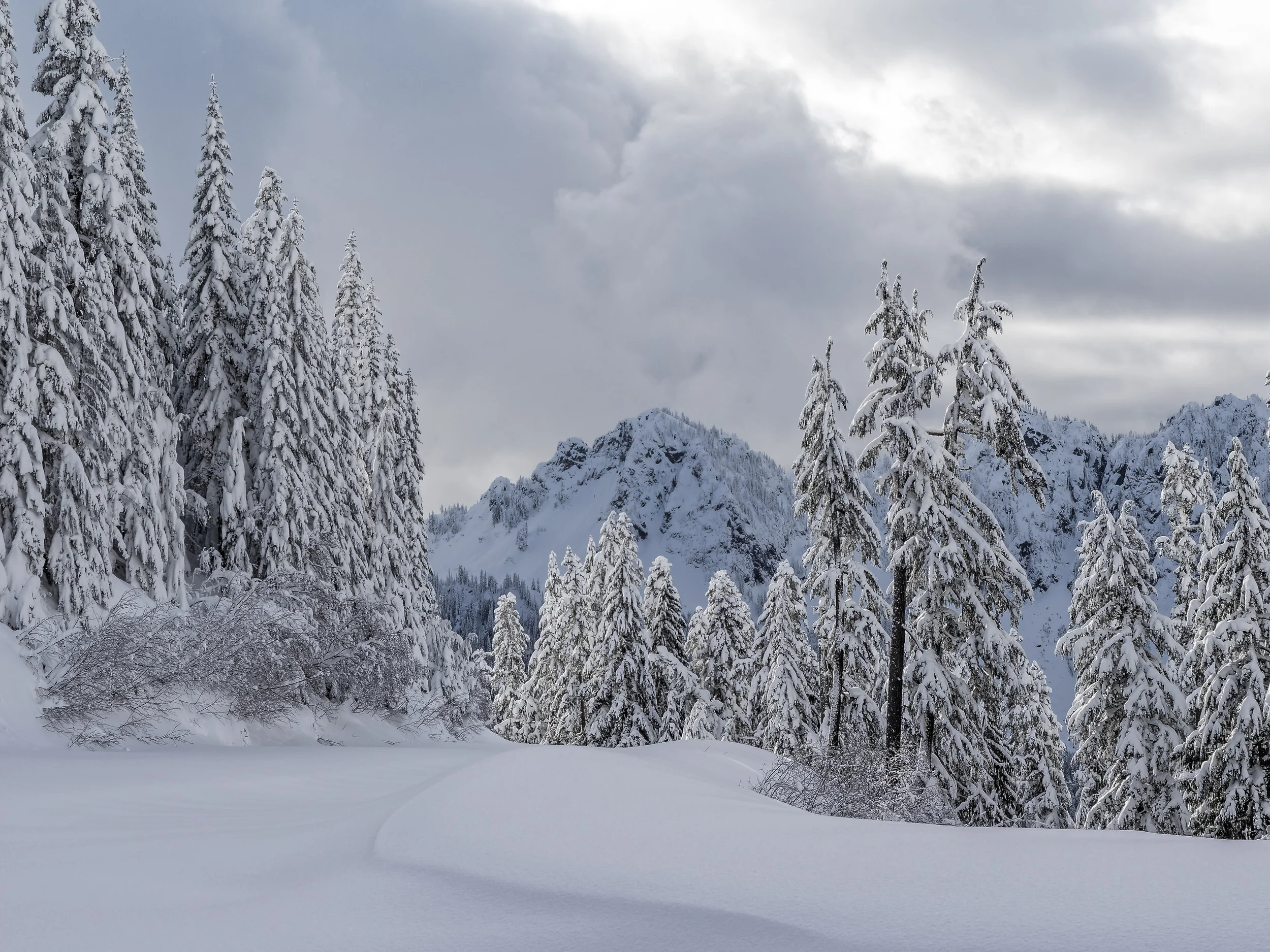 2016 12 06 Narada Falls Trail Mt Rainier_C060754_DxO.jpg