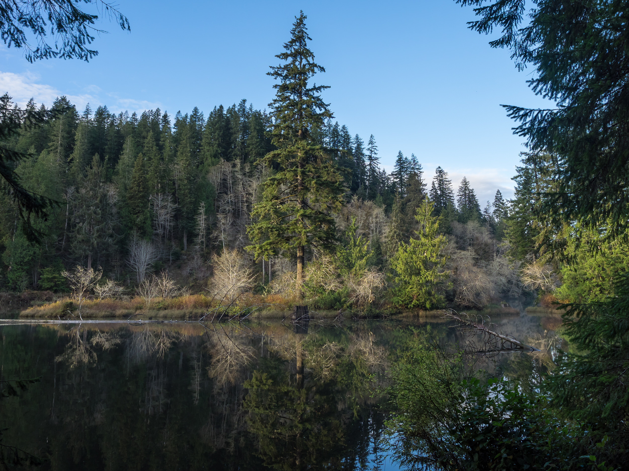 2016 11 08 Lake Sylvia State Park WA_B089897.jpg