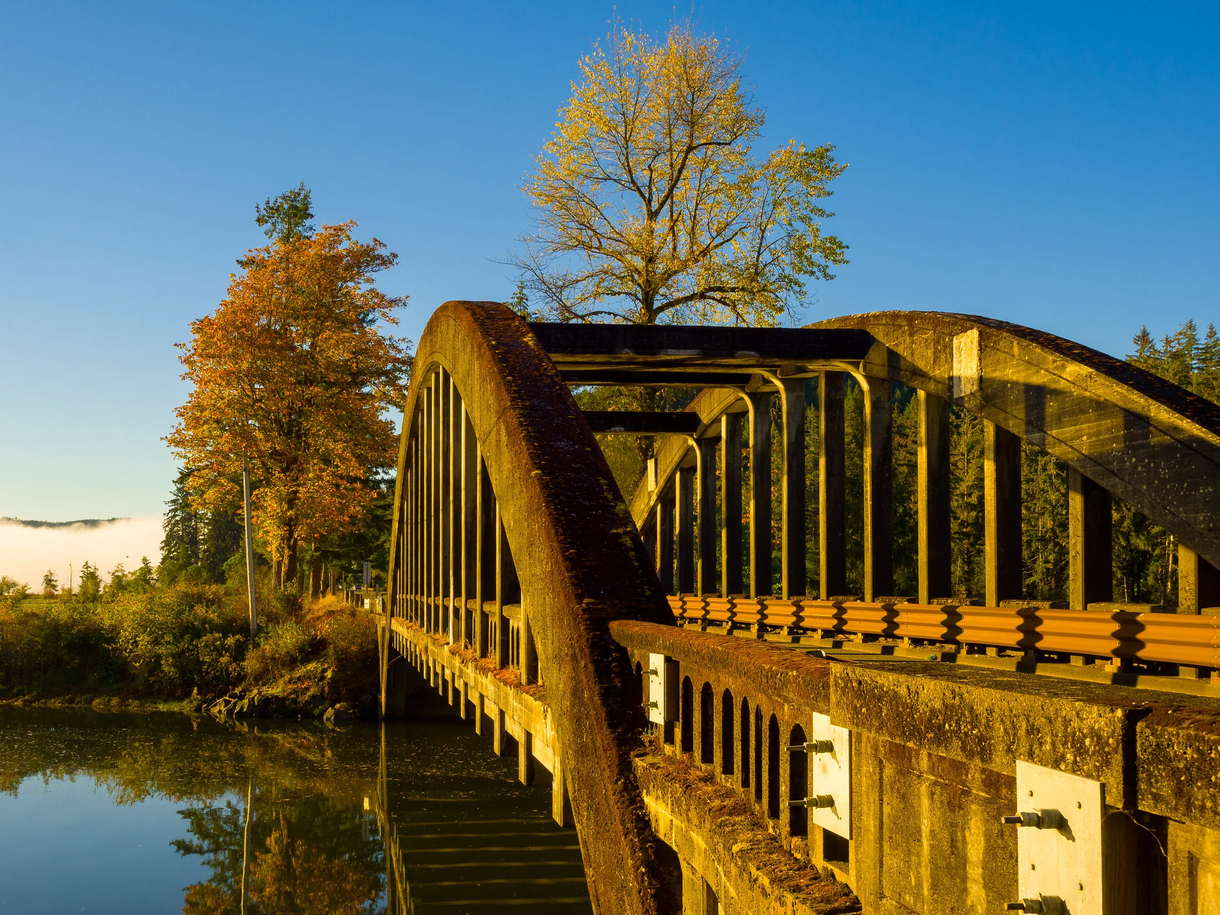 2016 09 21 Doswallips River Morning_9217570-Edit.jpg