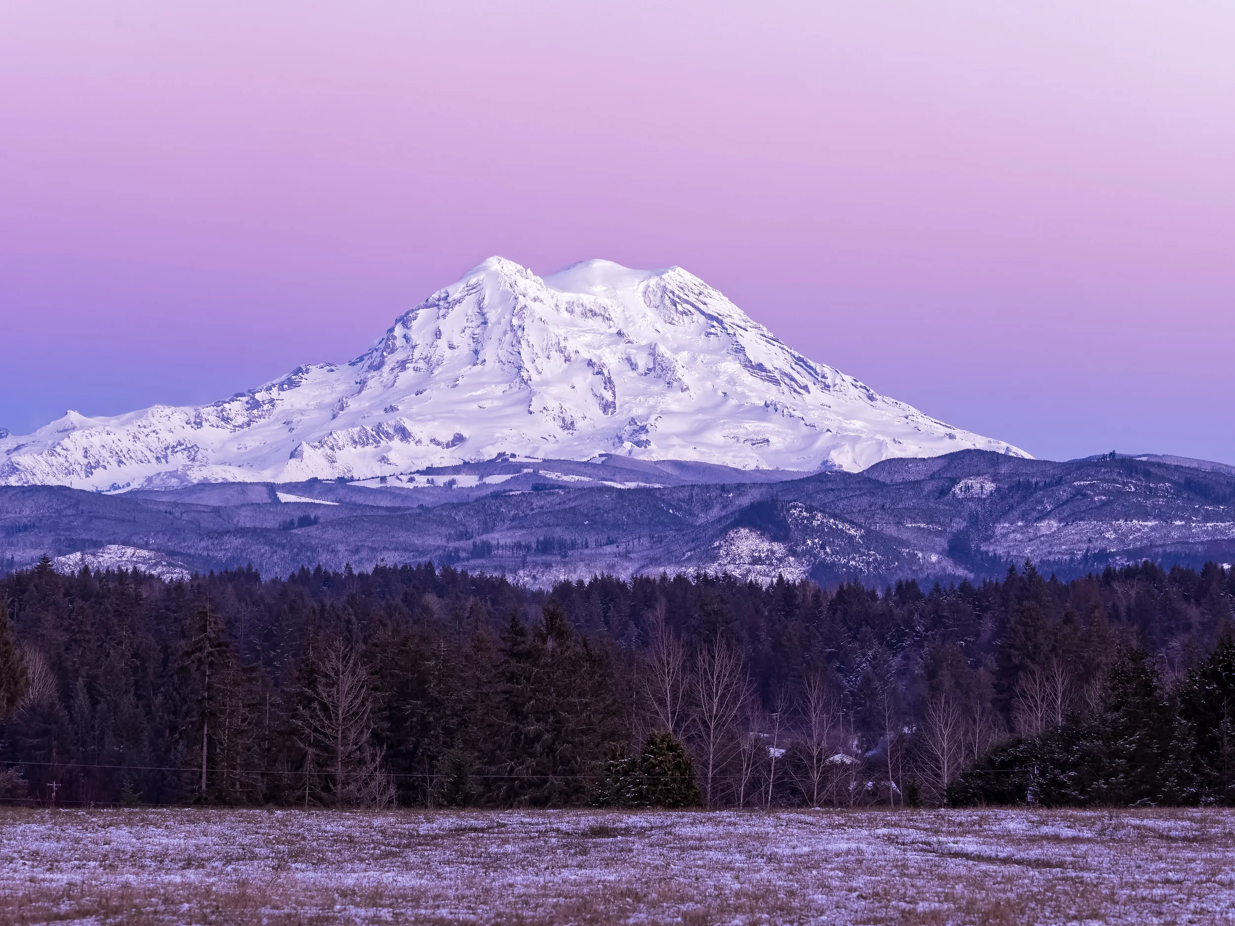 2017 01 04 Mt Rainier Natl Park_1042124_DxO-Edit.jpg