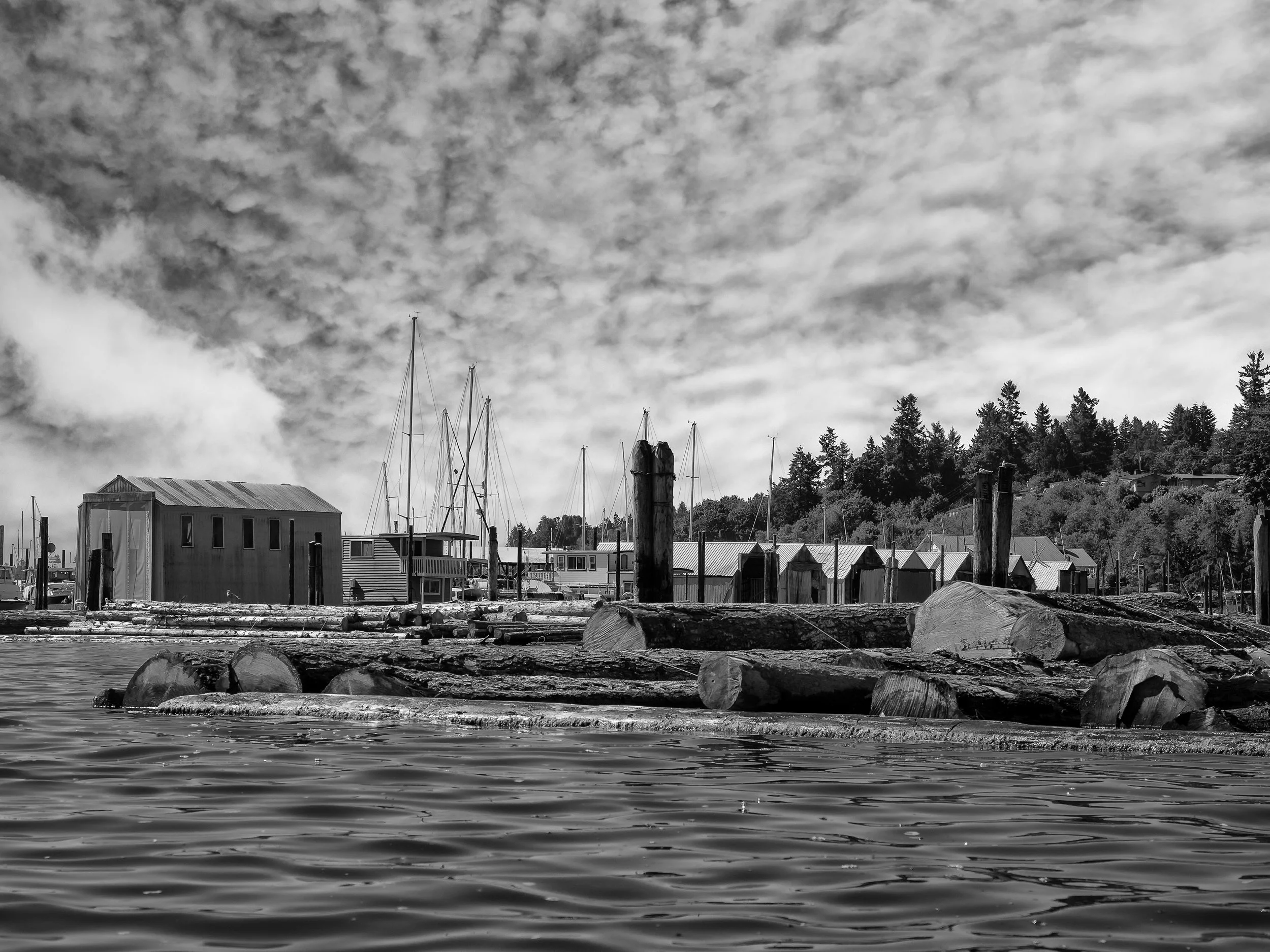 2017 05 28 Budd Inlet Kayak_5282662-Edit-Edit.jpg
