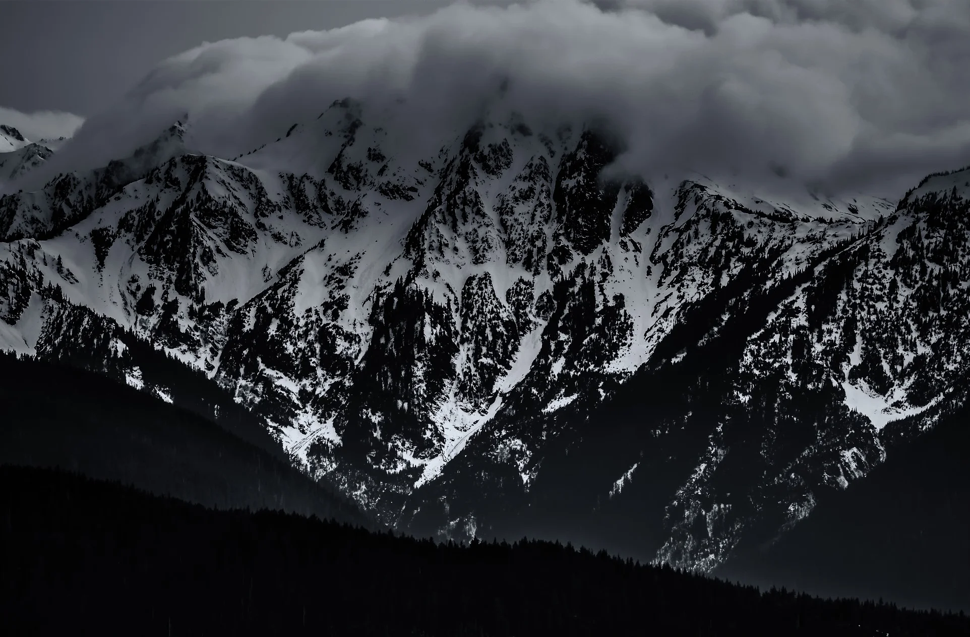 2015 04 17 Hurricane Ridge Oly NP__4179184_DxO-Edit (1).jpg