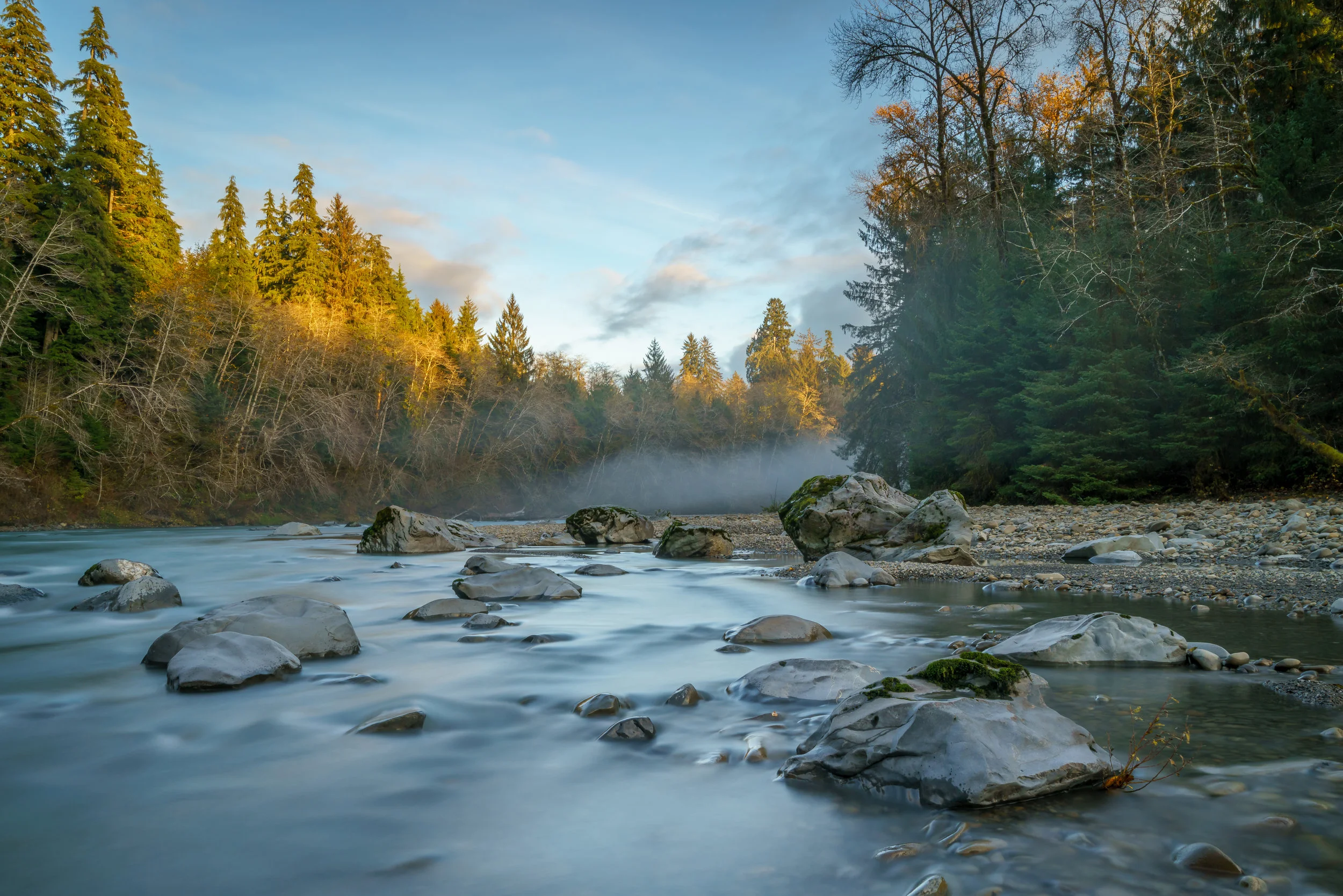 2018 11 16 Sams River Trail Queets River_DSC1507.jpg