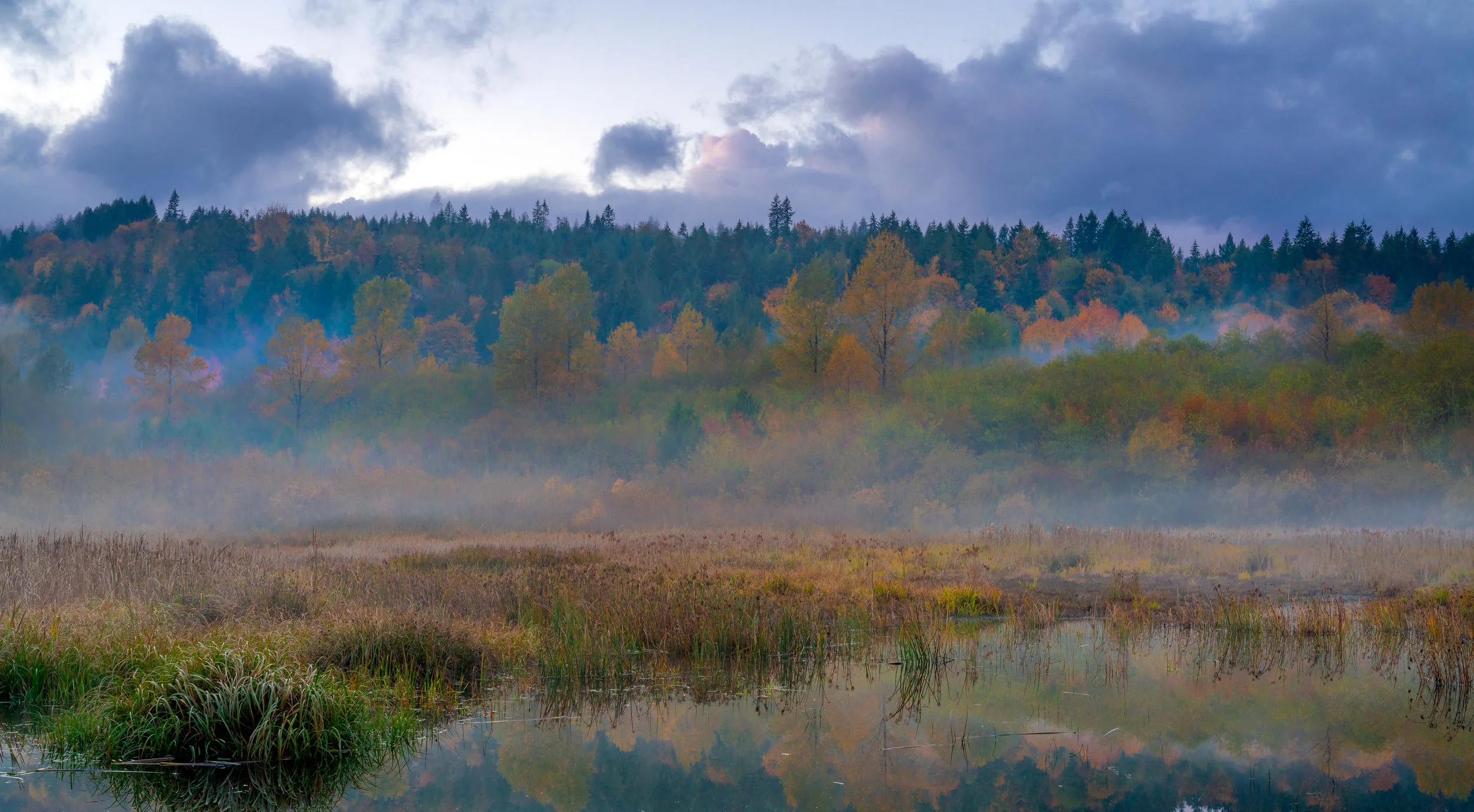 2018 10 29 Darlin Creek Preserve_DSC0875-Edit.jpg