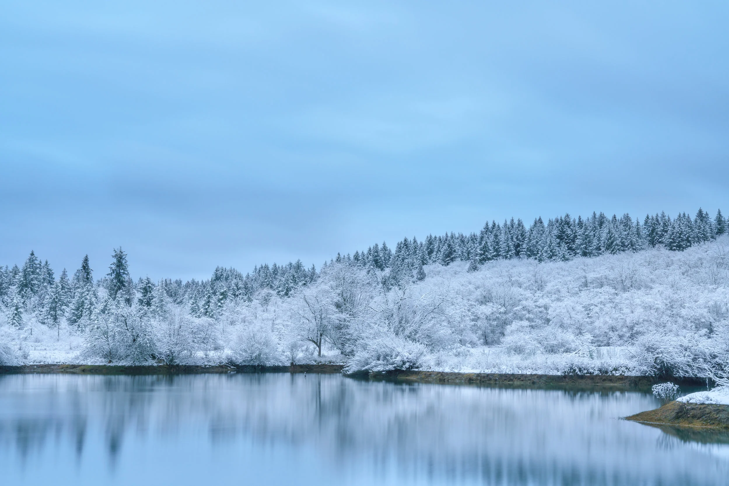 2019 02 04 Snow At Mud Bay_DSC2014_Luminar3-edit.jpg