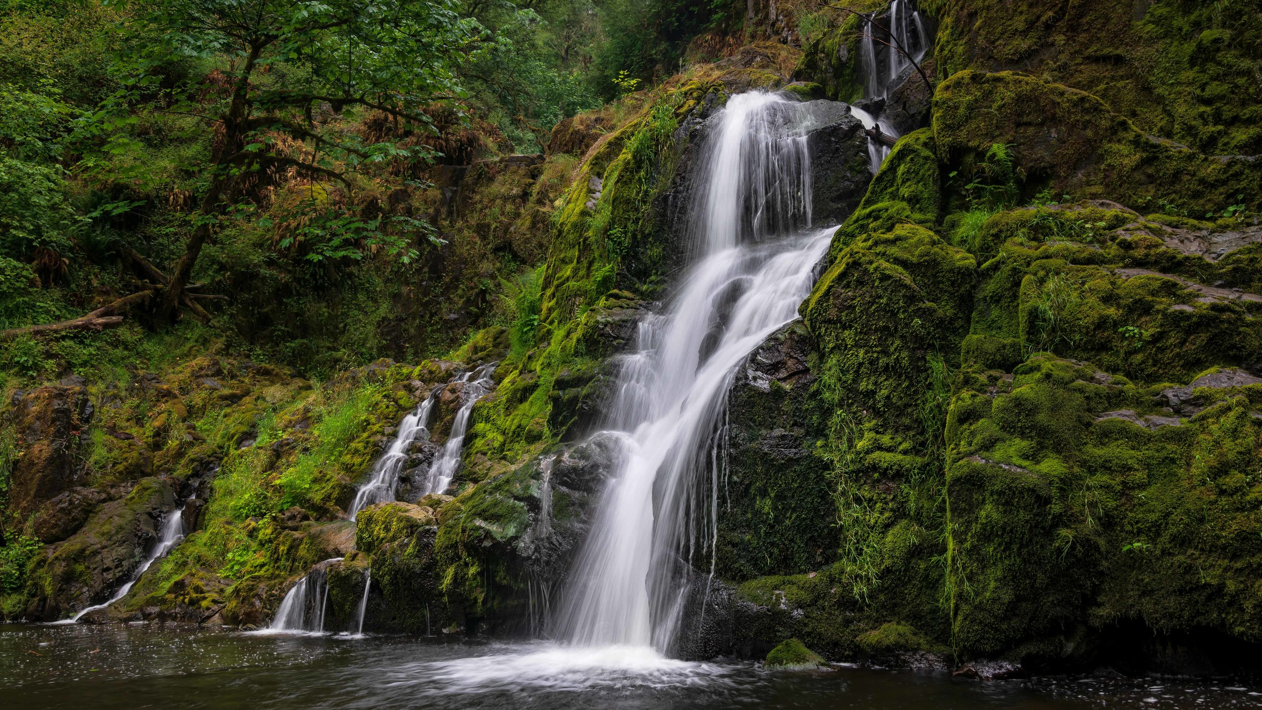 2019 06 26 Little Mashel Falls_DSC5973-Edit-Edit.jpg