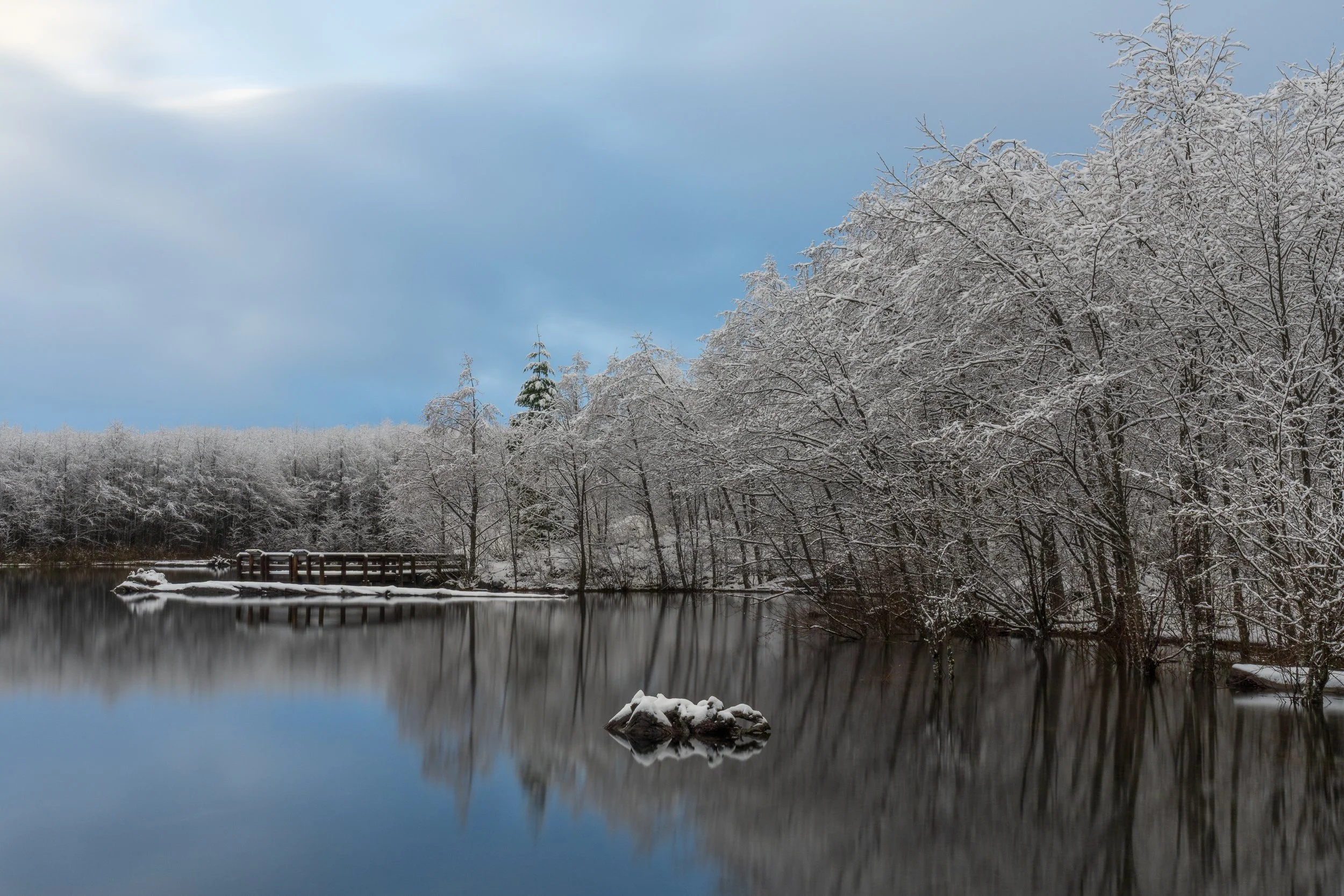 2023 12 08 Coldwater Lake Hummocks Trail In Snow_DSC9955.jpg