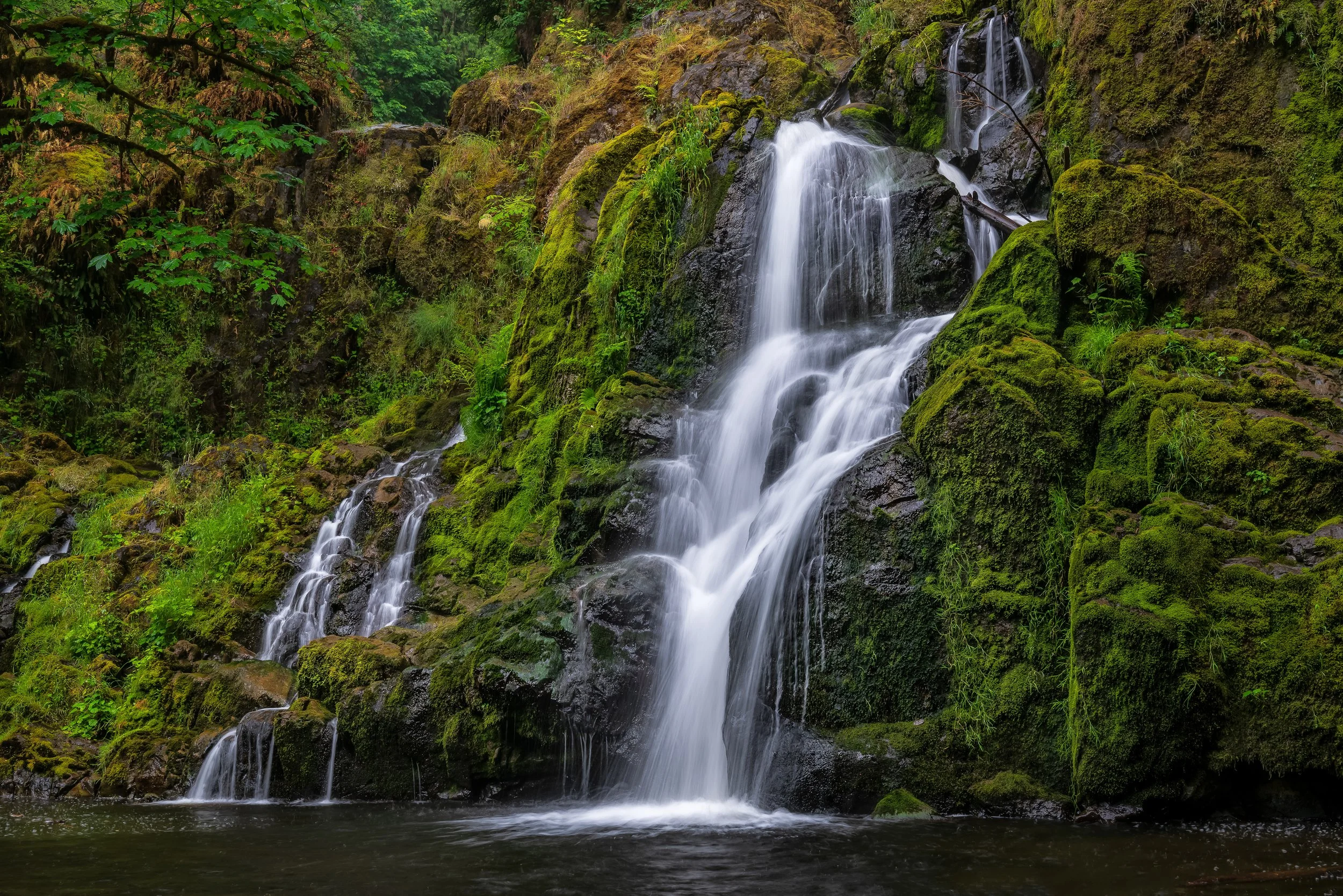 2025 06 26 Little Mashel Falls_DSC5926-Edit.jpg